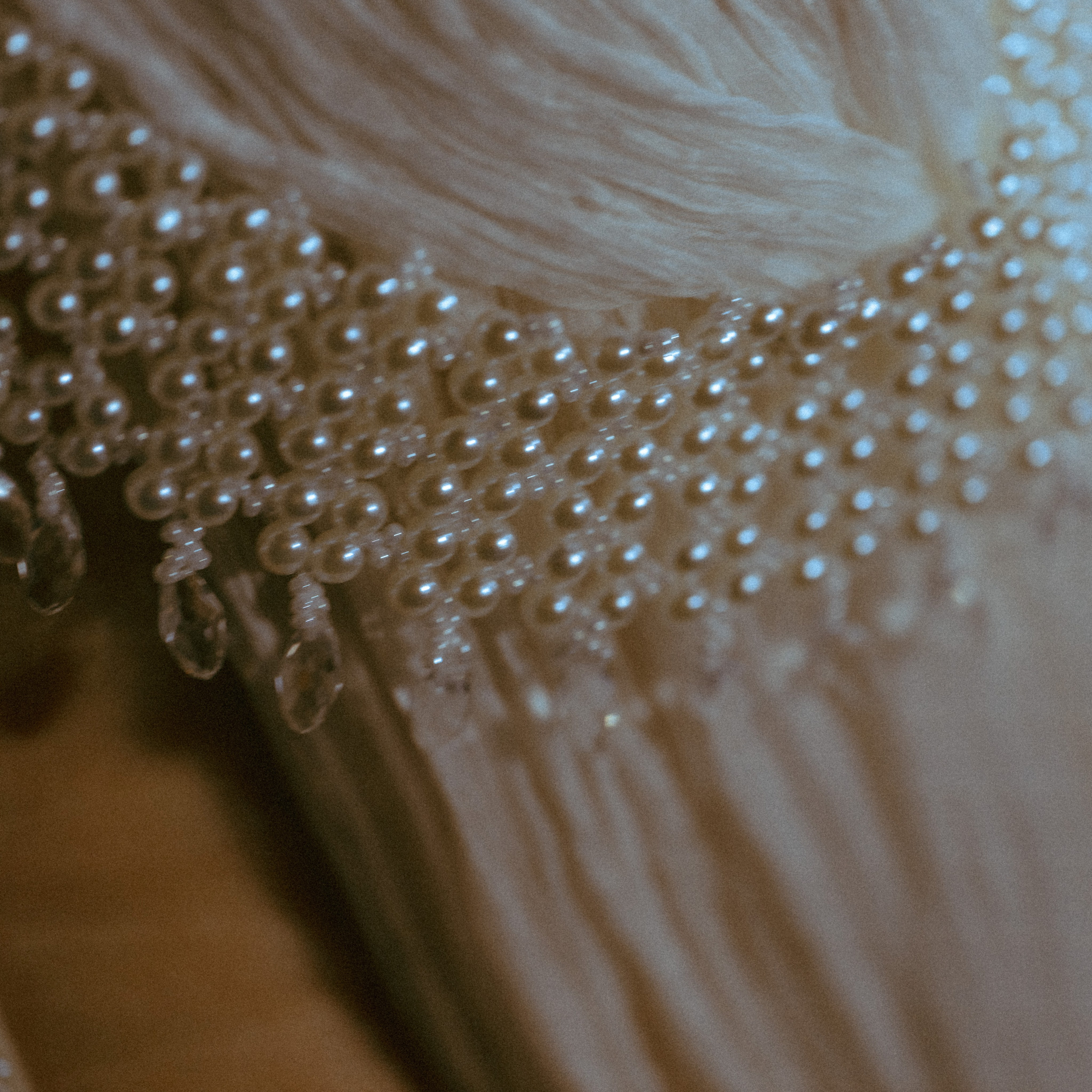 Творческая фотосъемка. Сергей Богомолов. Свадебный и семейный фотограф