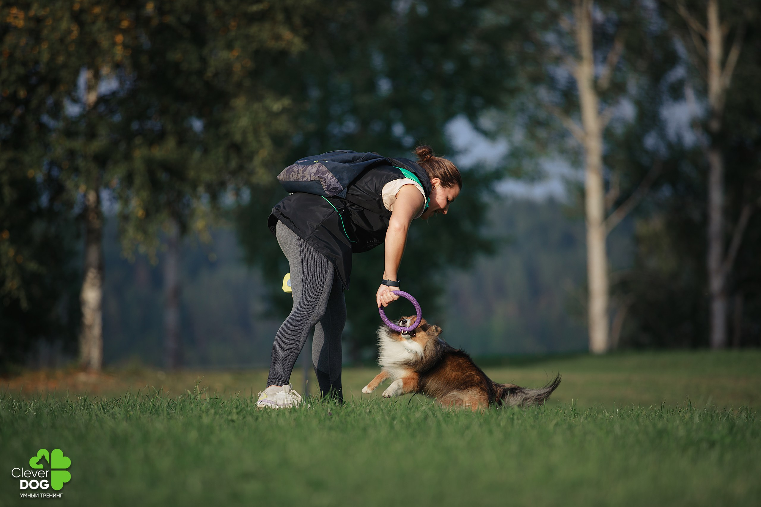 Кинологический лагерь CleverDog, 2024. Фотограф-анималист Mary Mart — Москва, Питер