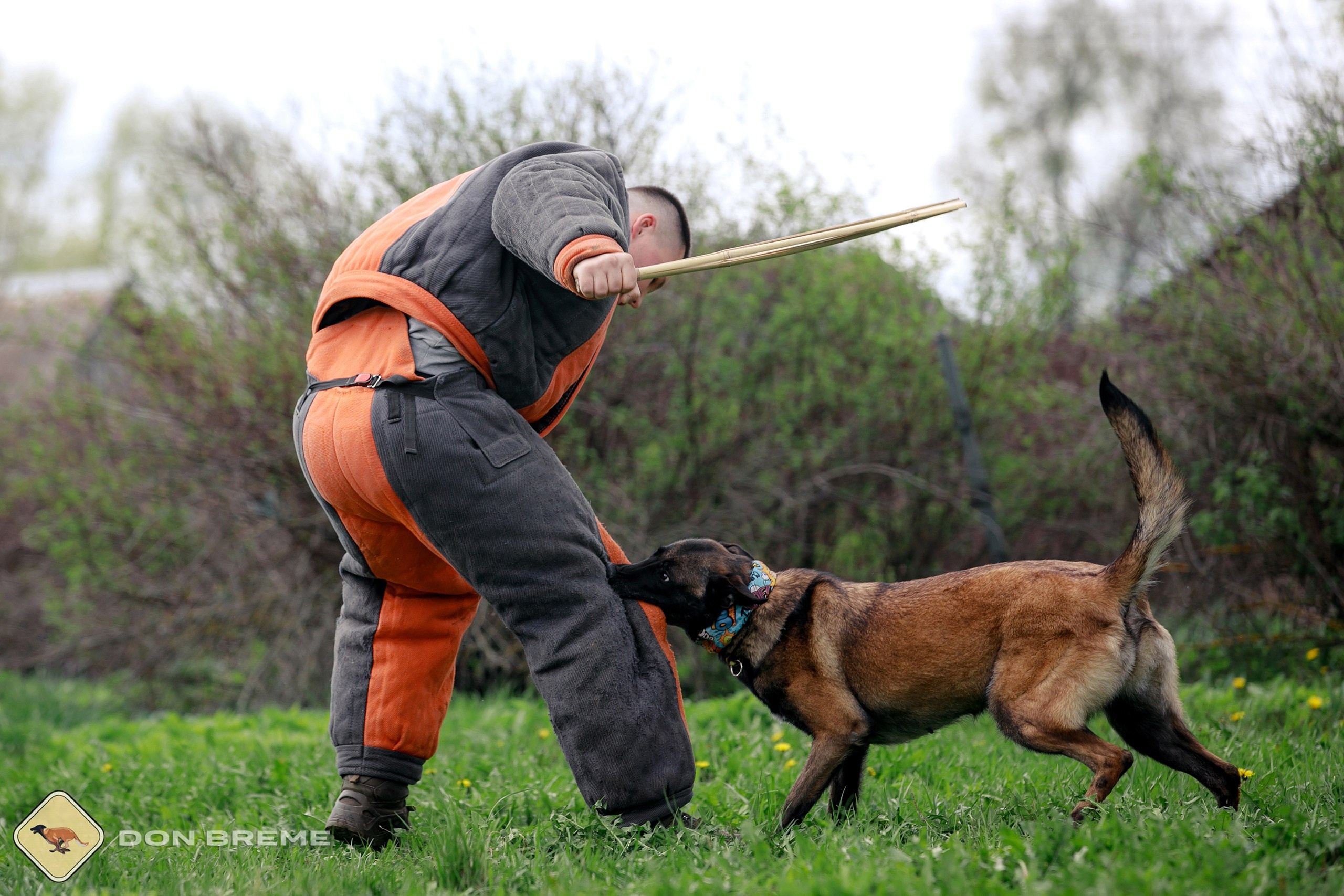 Семинар для фигурантов, день 2. Фотограф-анималист Mary Mart — Москва, Питер