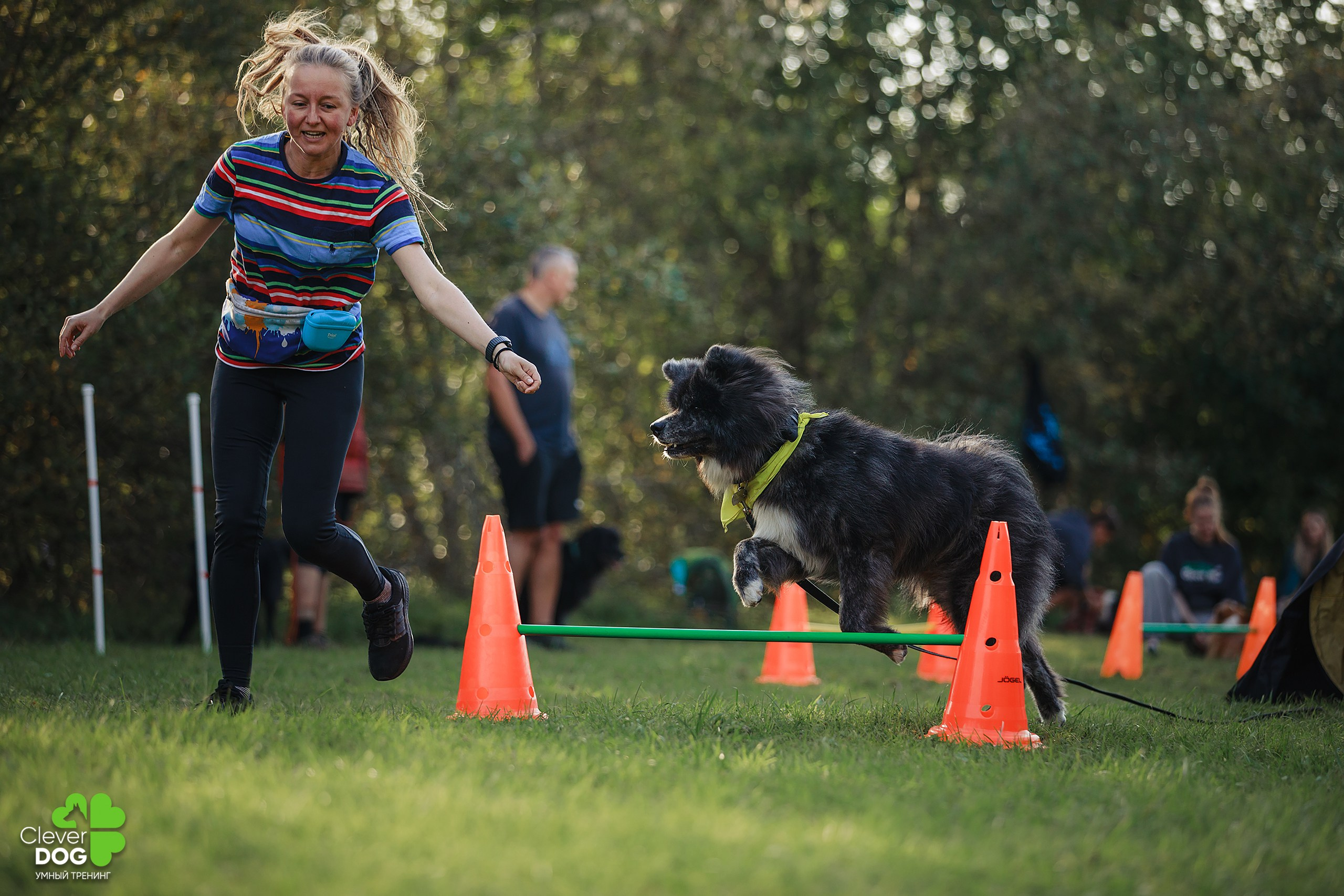 Кинологический лагерь CleverDog, 2024. Фотограф-анималист Mary Mart — Москва, Питер