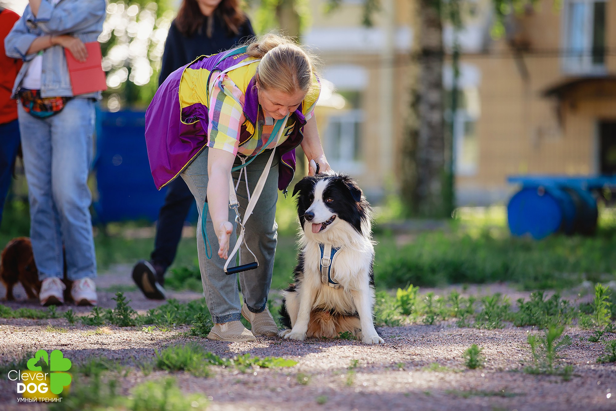 Семинар по поиску запаха с Иваном Ломовым, организатор CleverDog, СПб. Фотограф-анималист Mary Mart — Москва, Питер