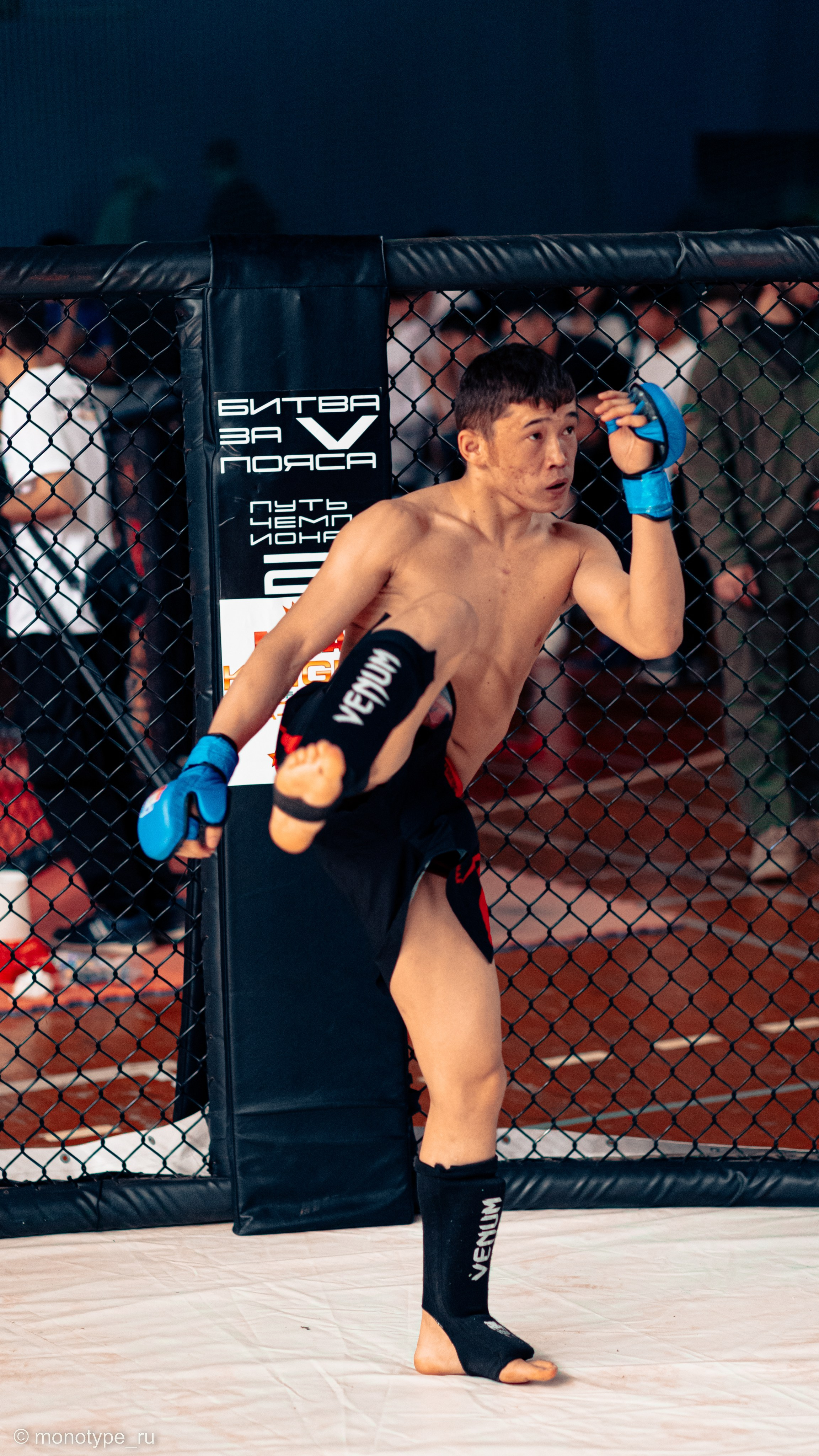 MMA. Бойцовский турнир