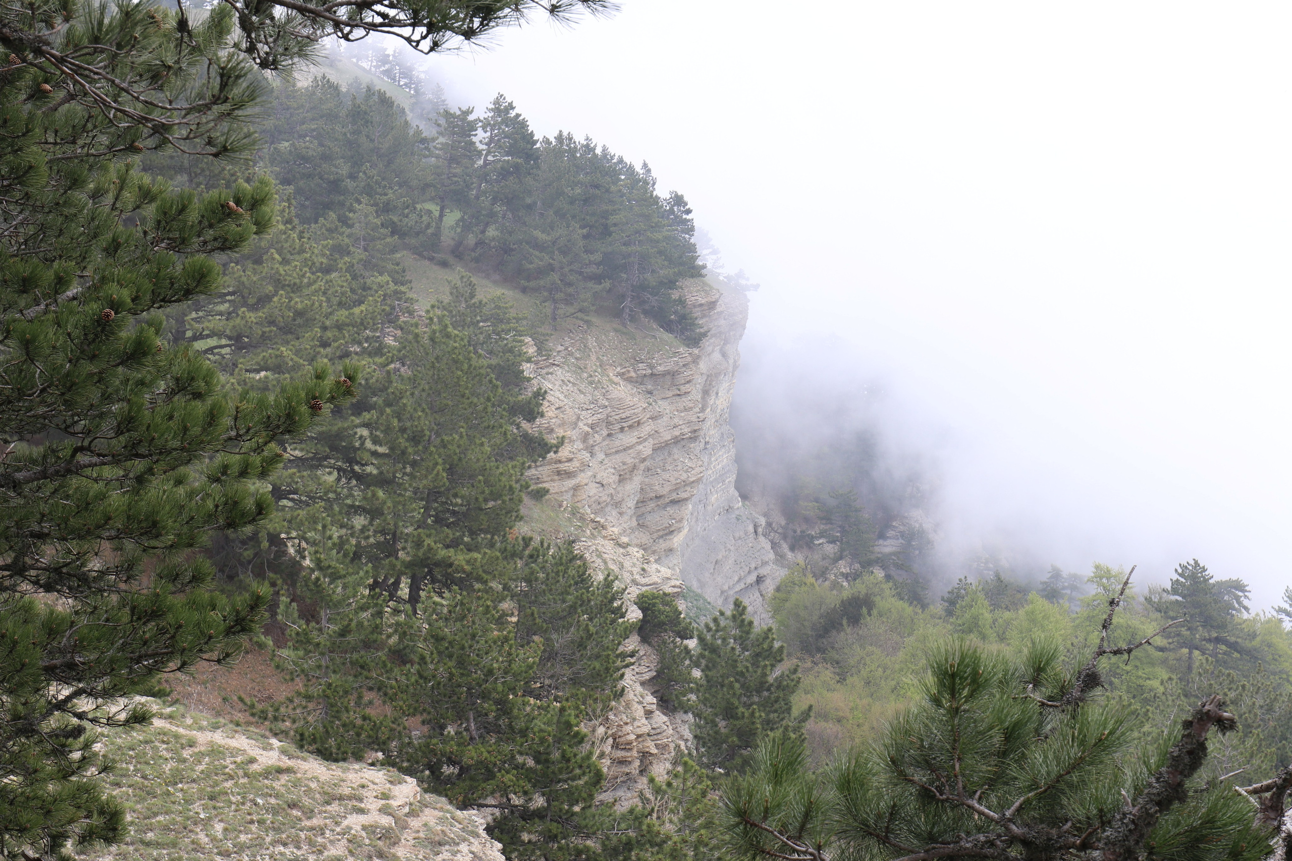 Крым. ЮБК (Бахчисарай, Демерджи, Судак). Первый скалолазный выезд. Май 2019. Путешественник-фотограф из Санкт-Петербурга Татьяна Свистулина
