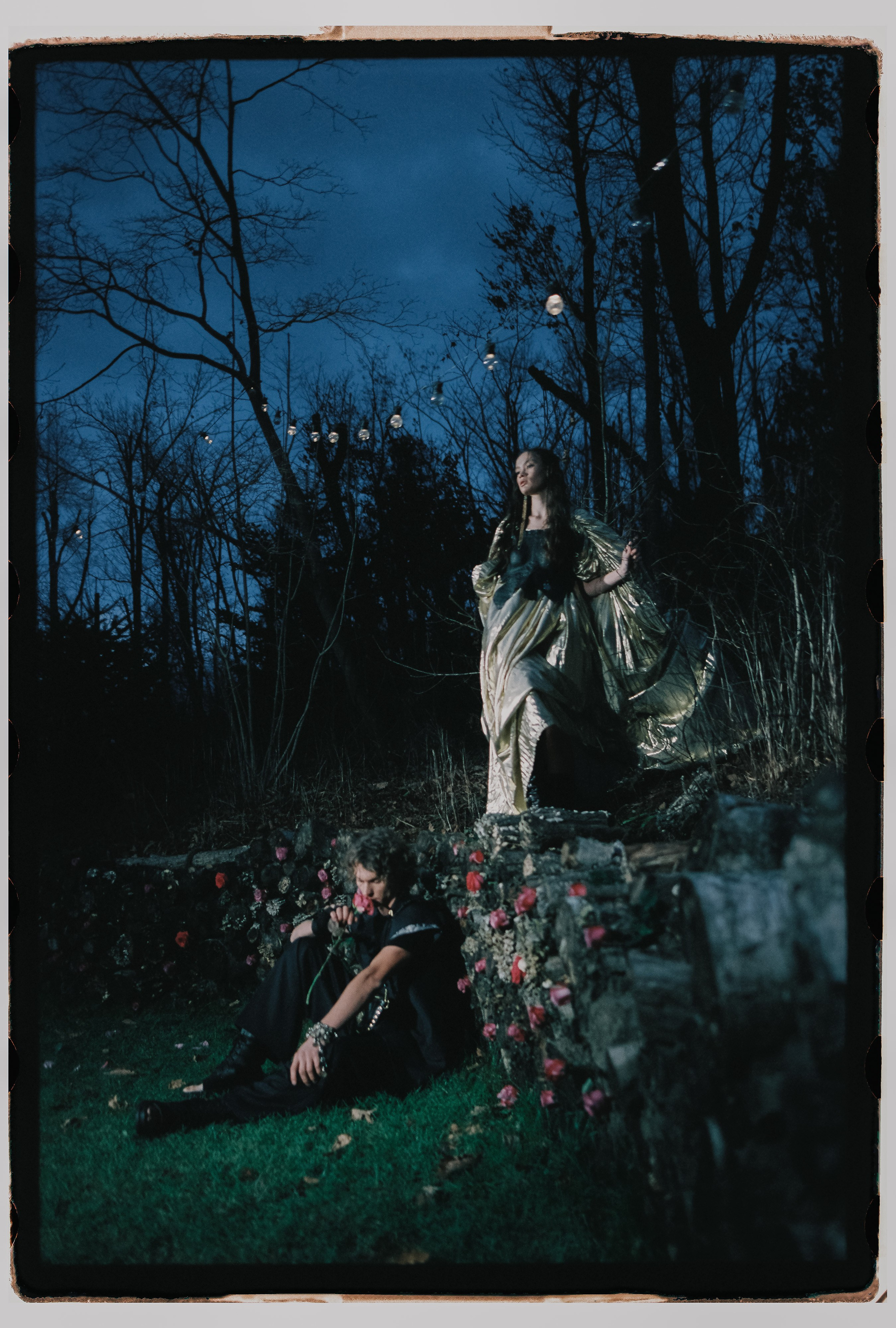 Лесной променад