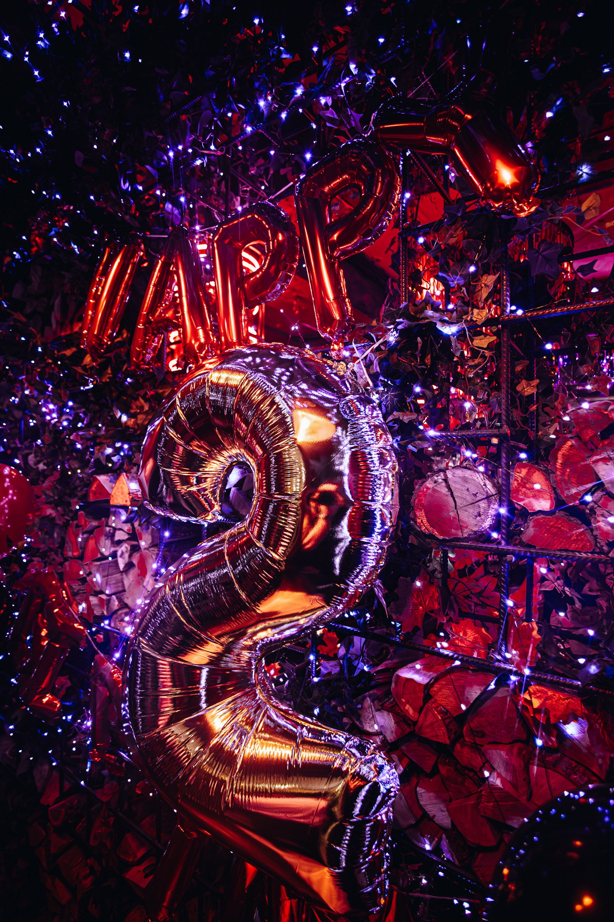 День рождение Пьяного Плюща_Симферополь_20.12.2024. Аминов Руслан | Фотограф