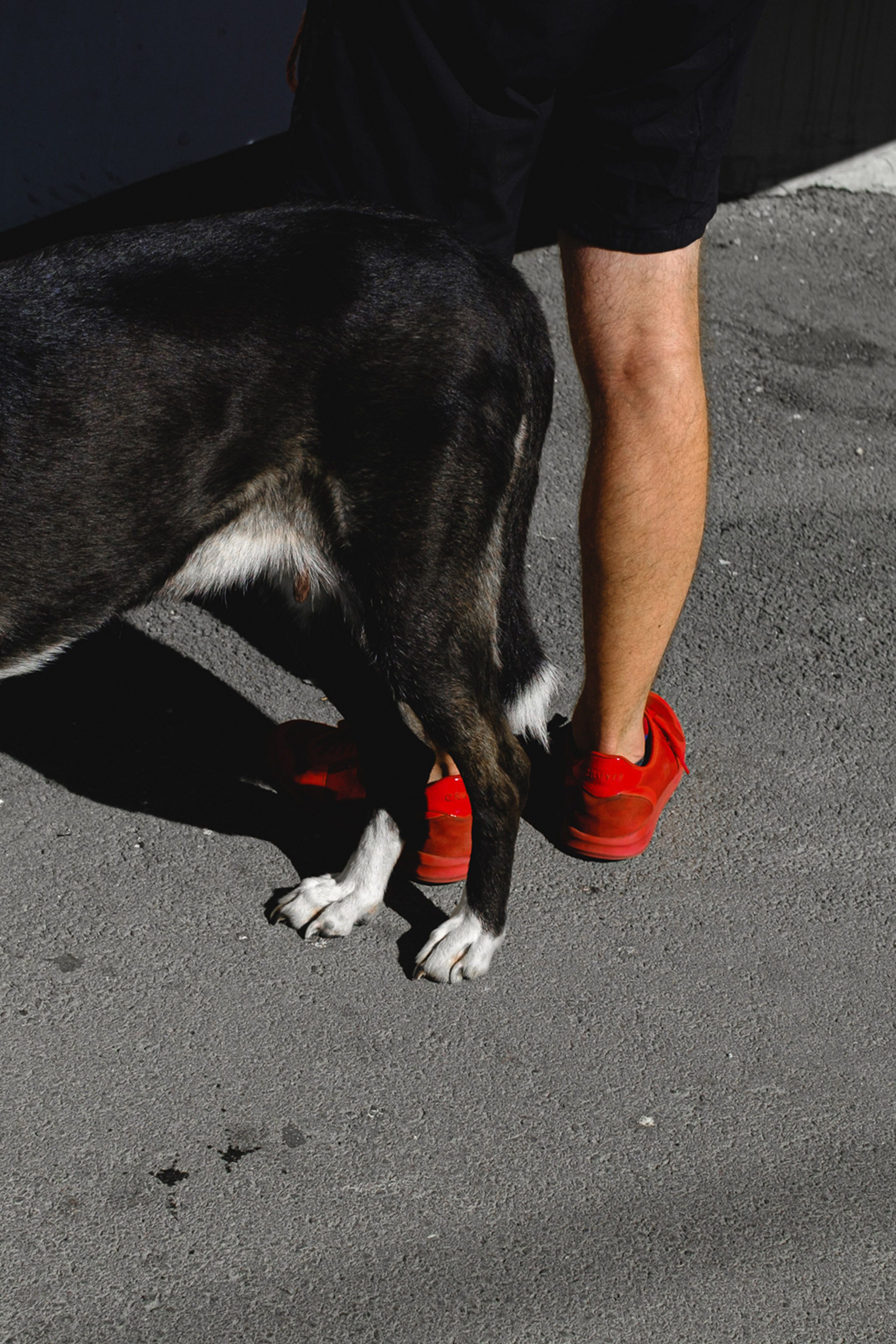 Nowhere and Everywhere. Портретный фотограф