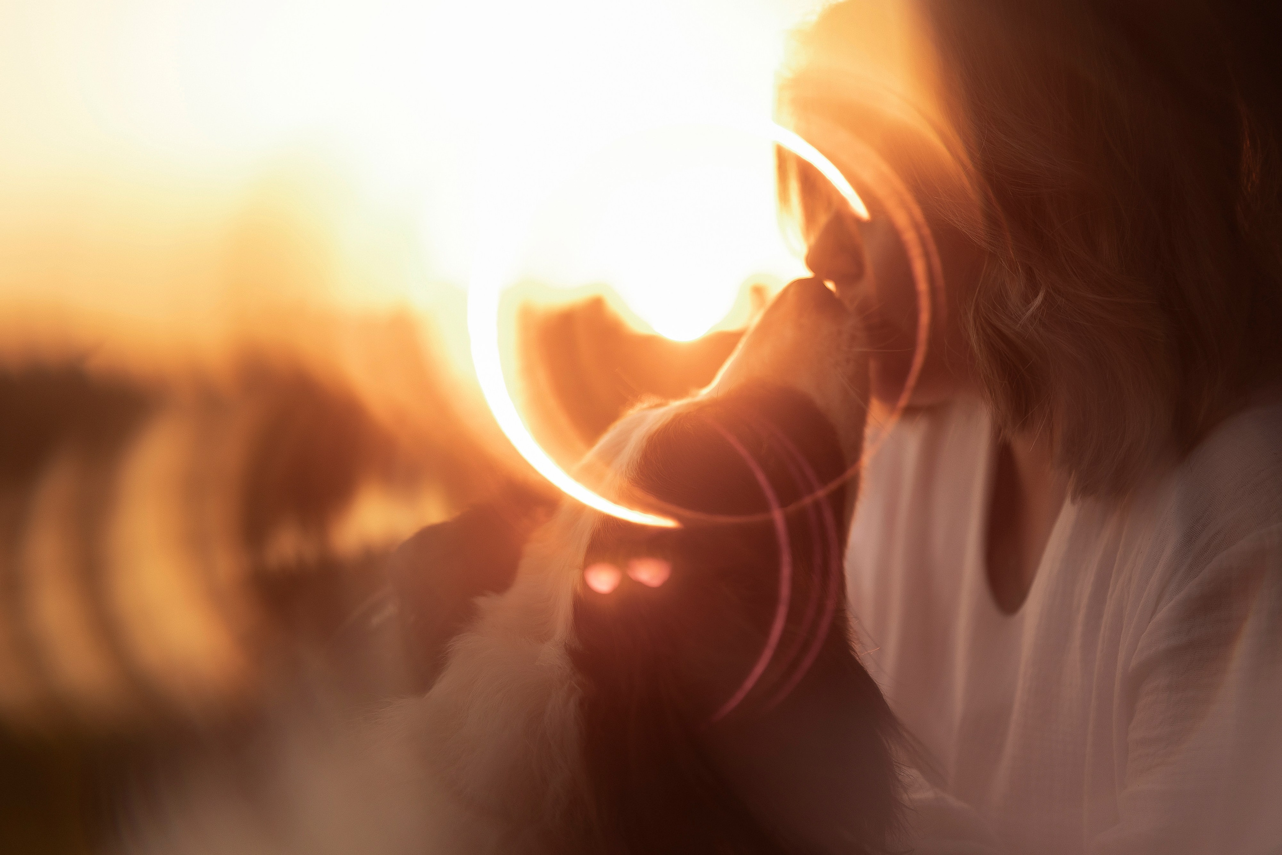 Вольт и Наташа. Семейный и свадебный фотограф в Москве Леванова Александра