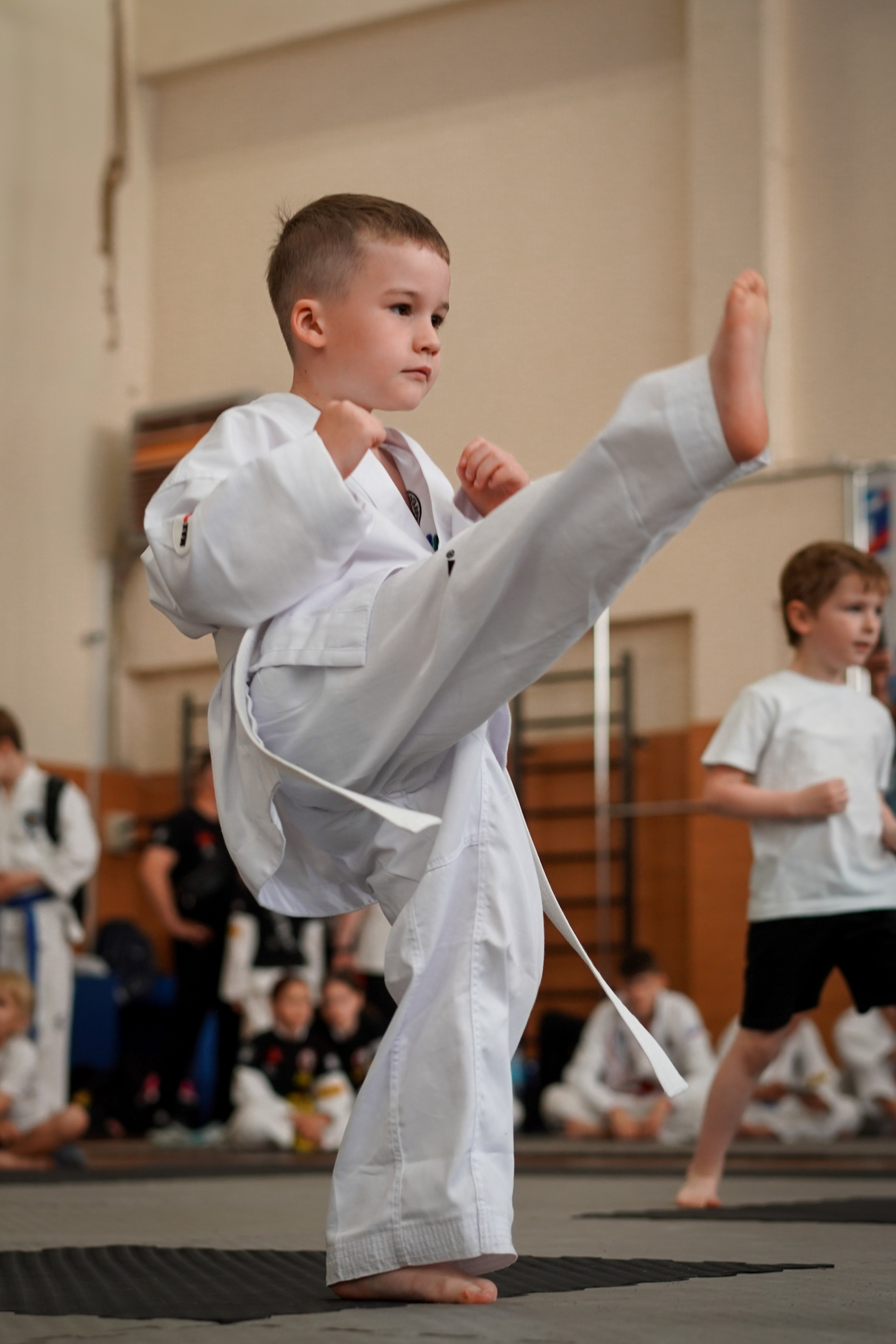 Тхэквандо — соревнования. Выпускные альбомы Натальи Бутко: Новороссийск, Анапа, Геленджик