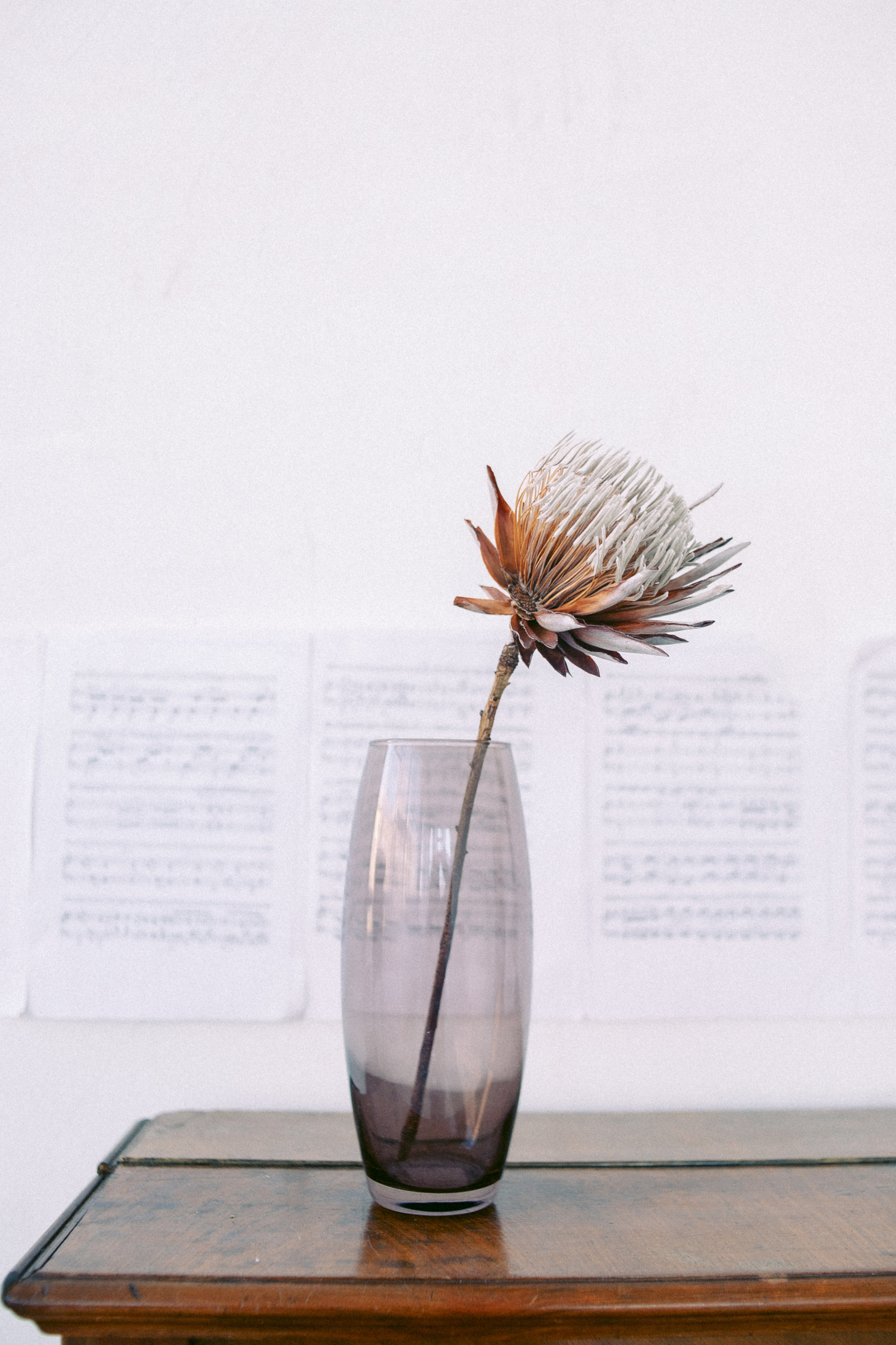 Индивидуальная фотосессия в студии спб. Фотограф в Санкт-Петербурге, Анна Скворцова