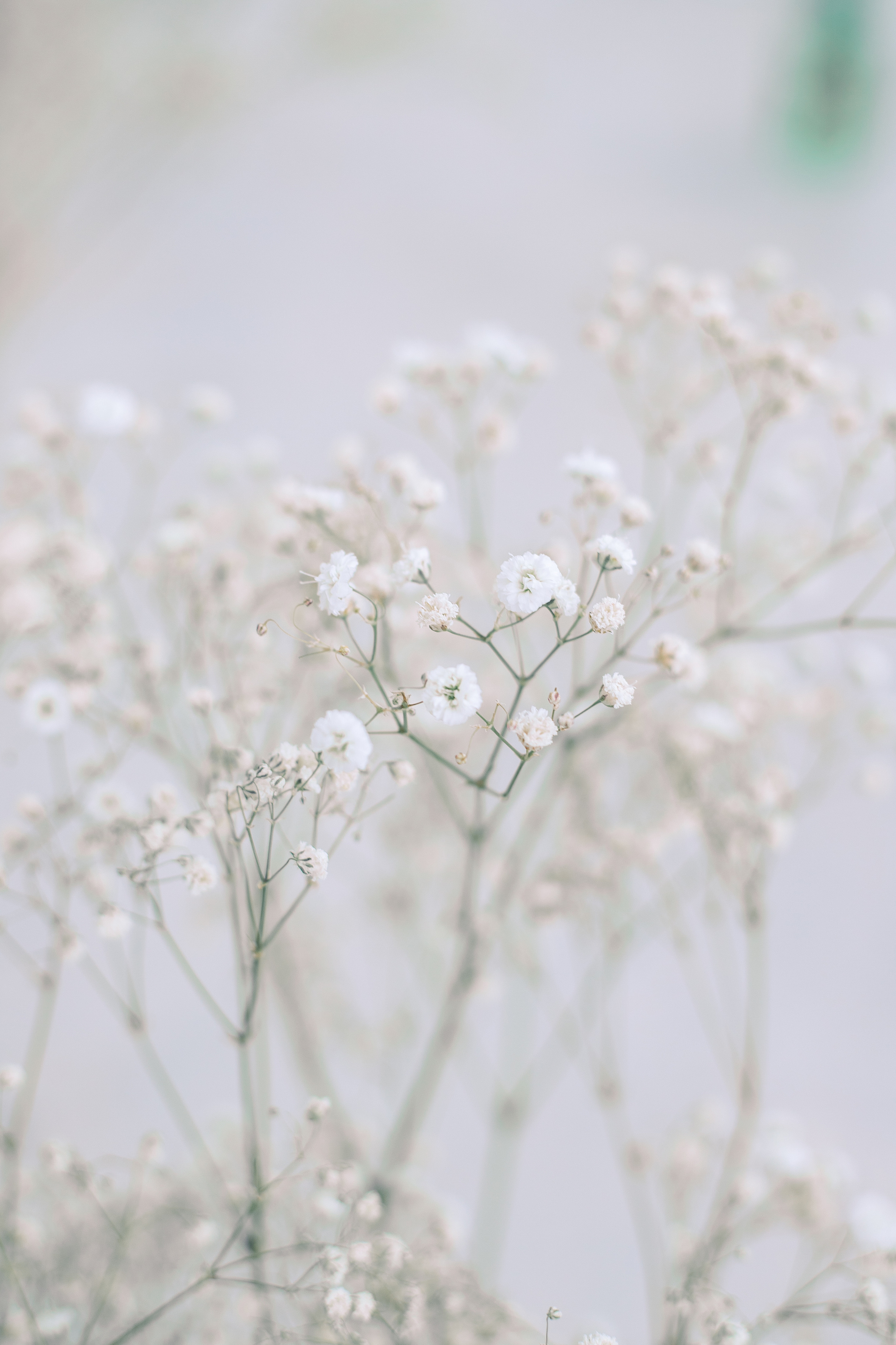 Нежная Фотосессия мамы и дочки Санкт-Петербурге. Фотограф в Санкт-Петербурге, Анна Скворцова
