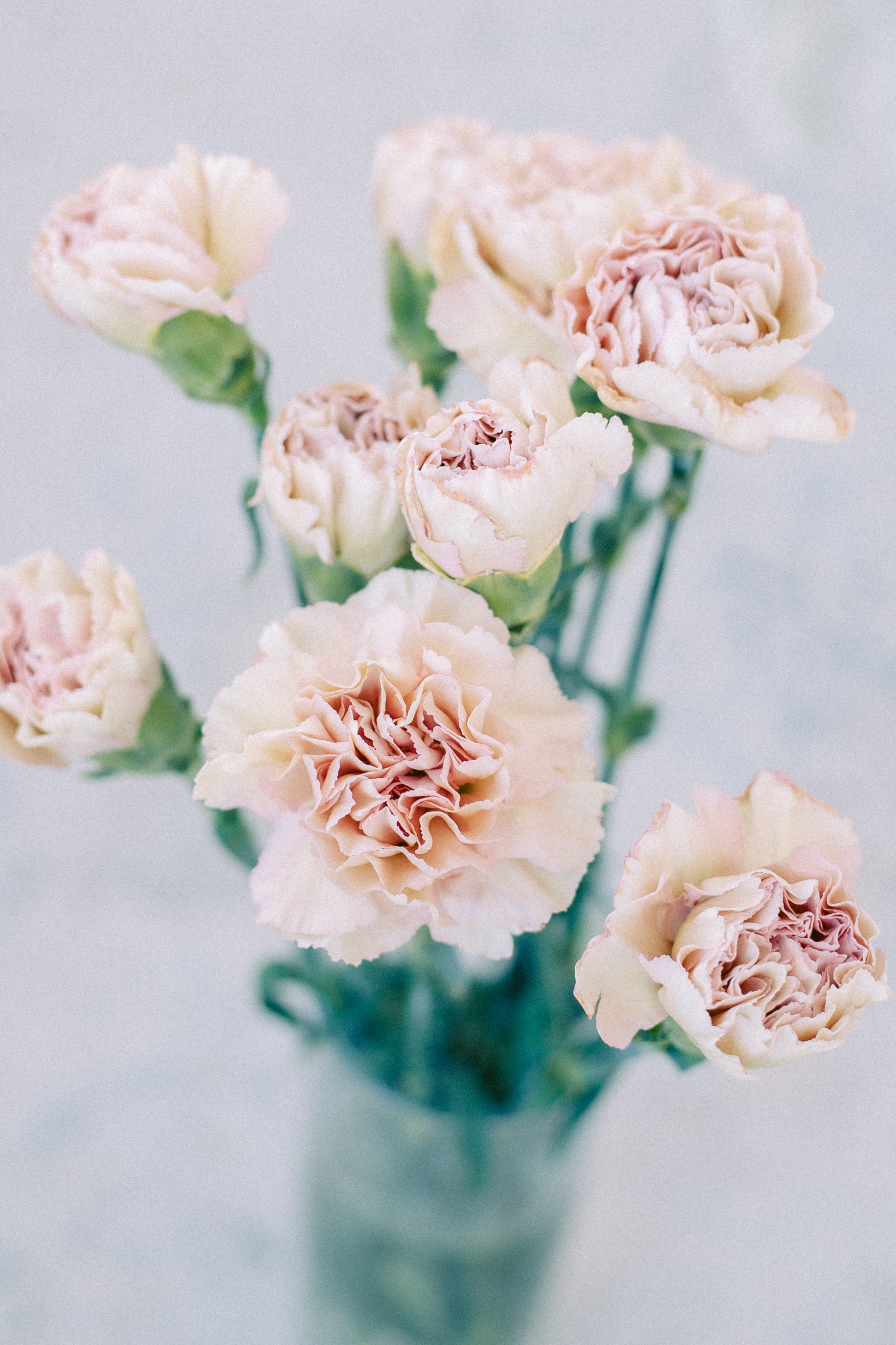 Индивидуальная фотосессия в студии спб. Фотограф в Санкт-Петербурге, Анна Скворцова