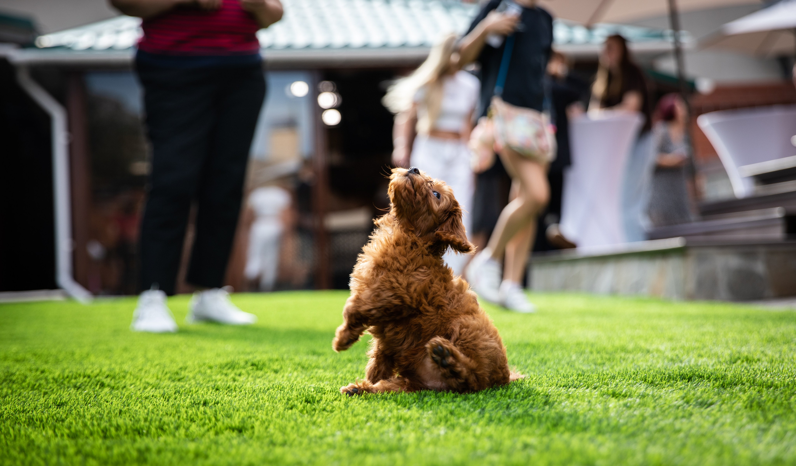 День Рождения Егорки -2025. VoronEvent. Репортажный и свадебный фотограф в Челябинске Елисеев Павел