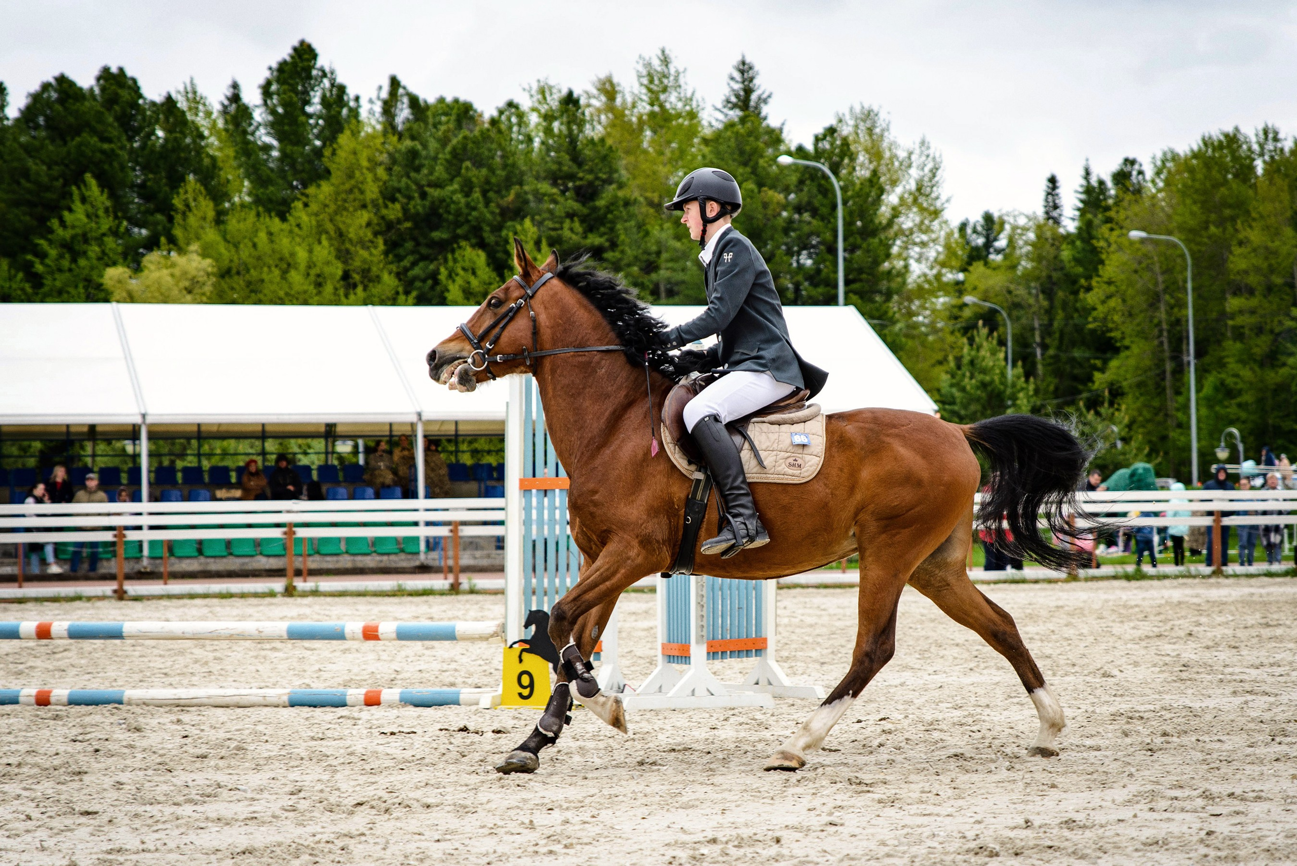 Конкур. Всероссийские соревнования. Фотограф в Ханты-Мансийске Евгений Жуланов