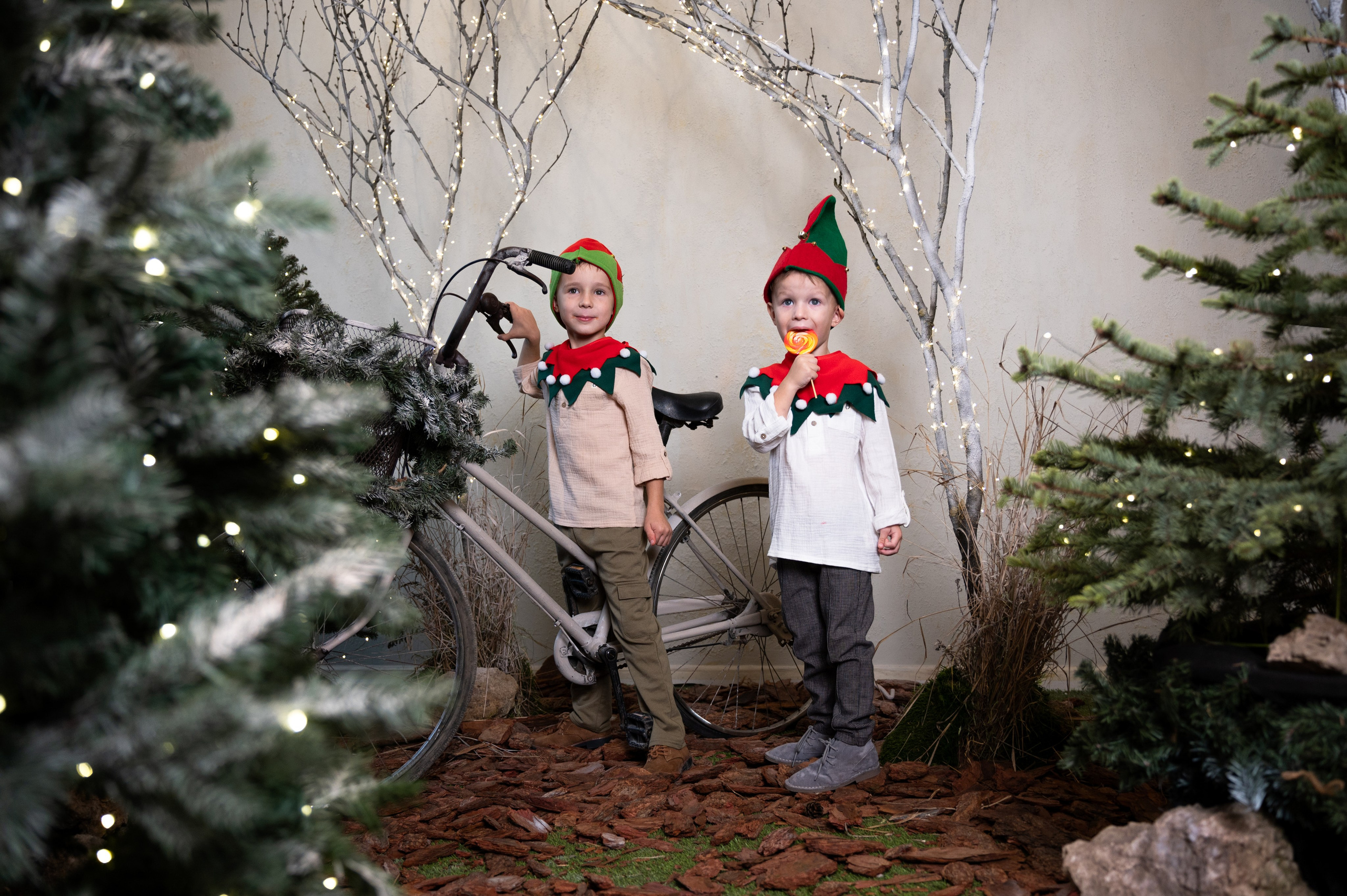 Гномики. Главная