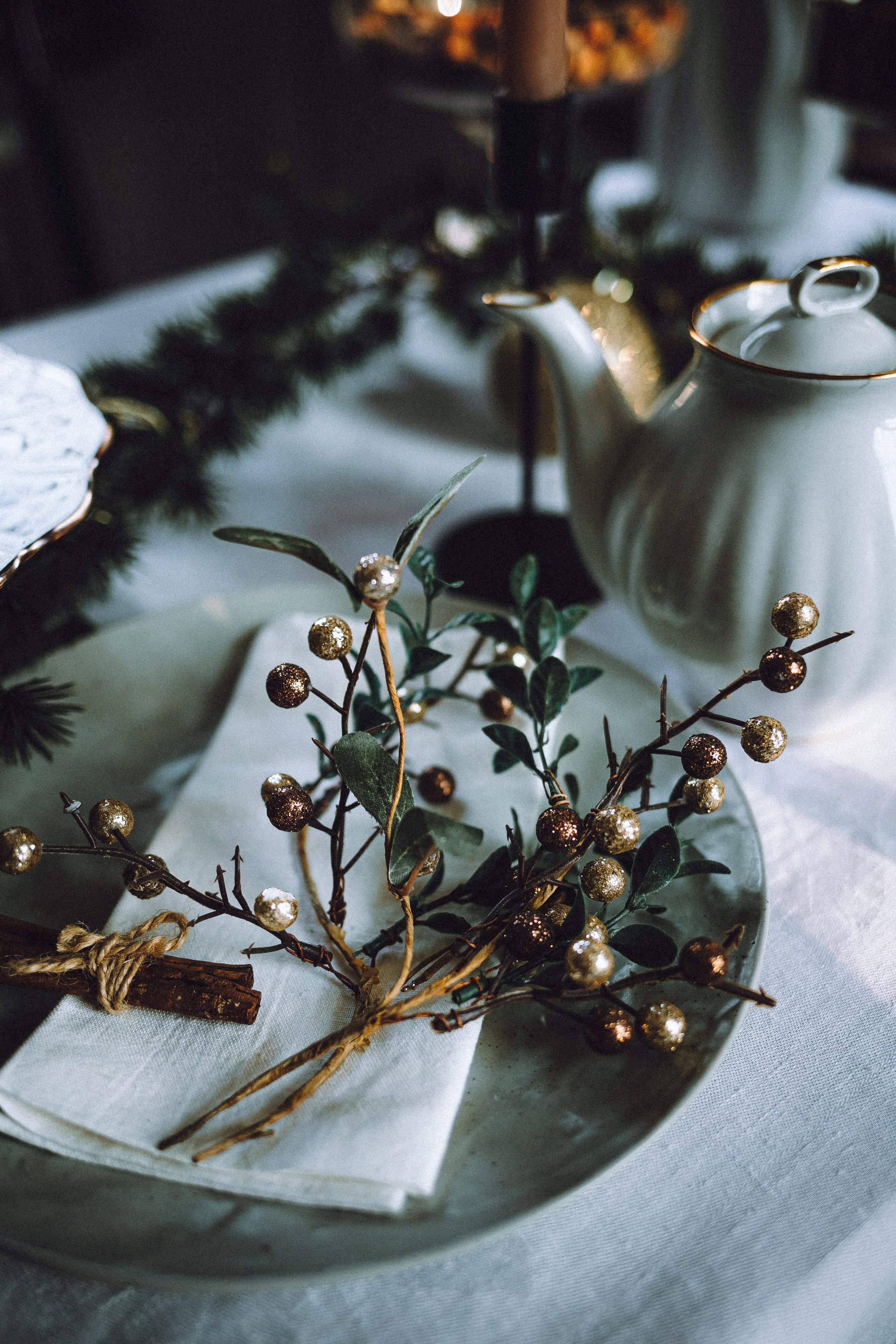 Плюш, Айса и их семья