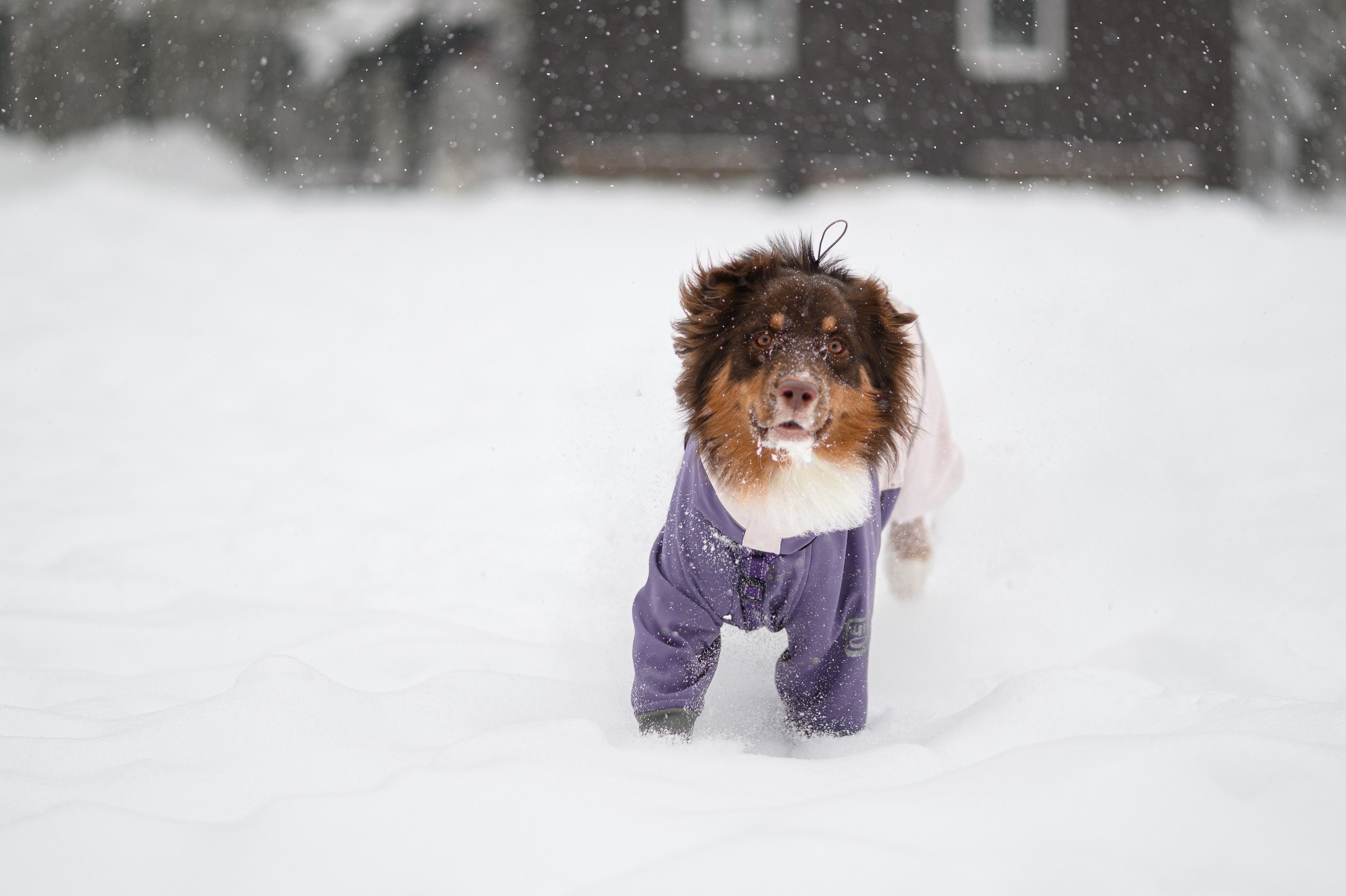 Акцент на живом. Фотограф в Москве Полина Старцева