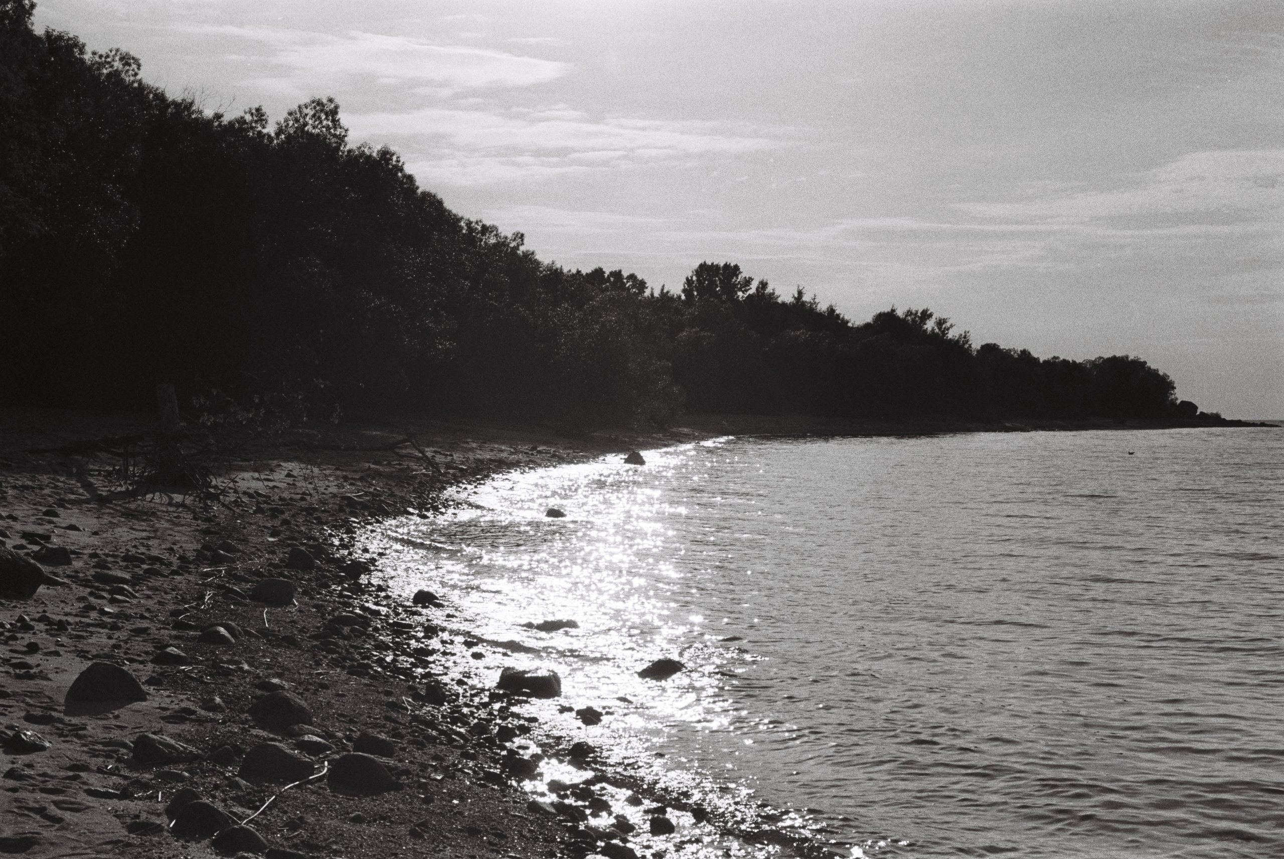 Film. Ruslan UI Dev Page