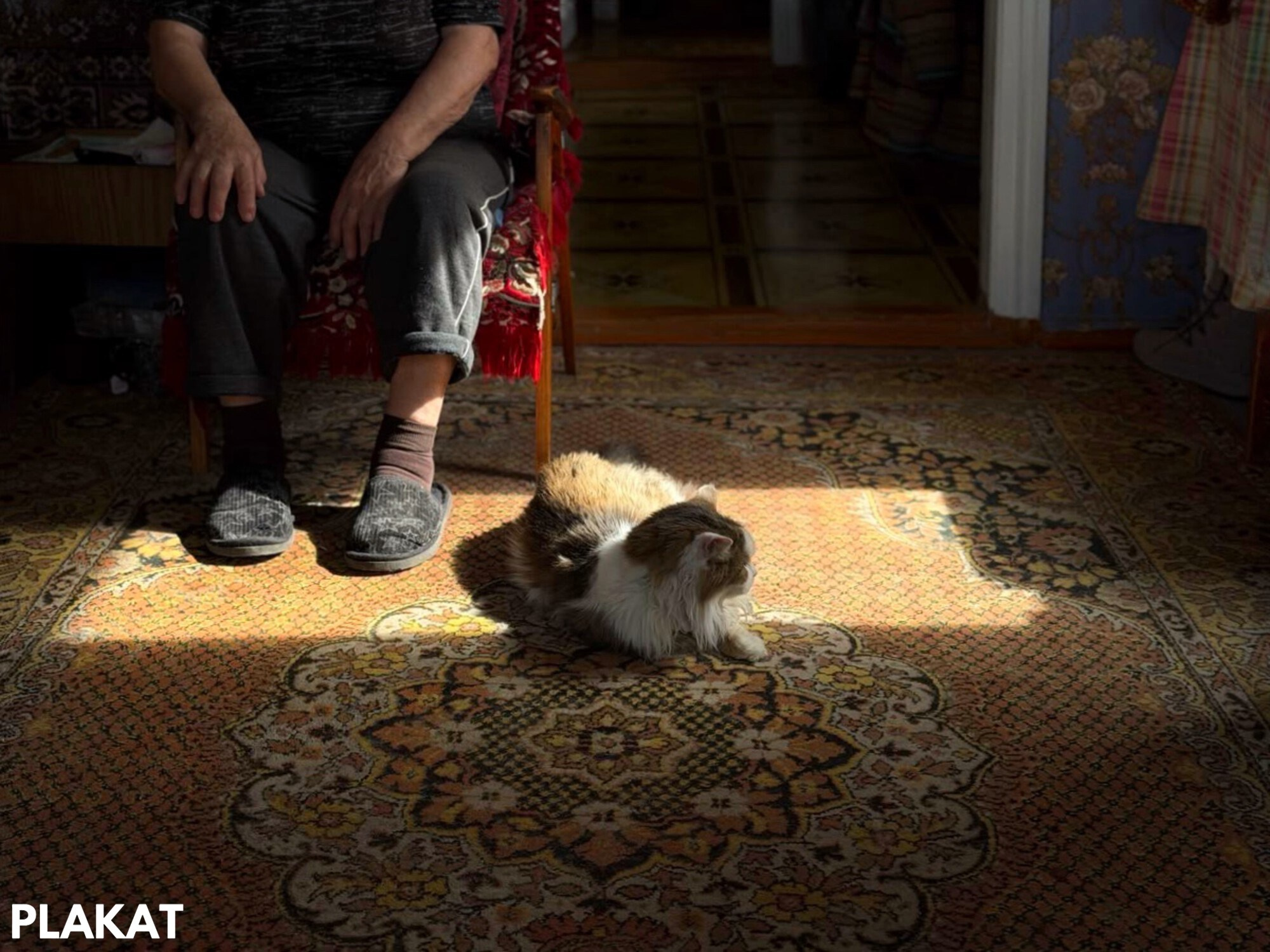 @Coffe_cat_mandelshtam