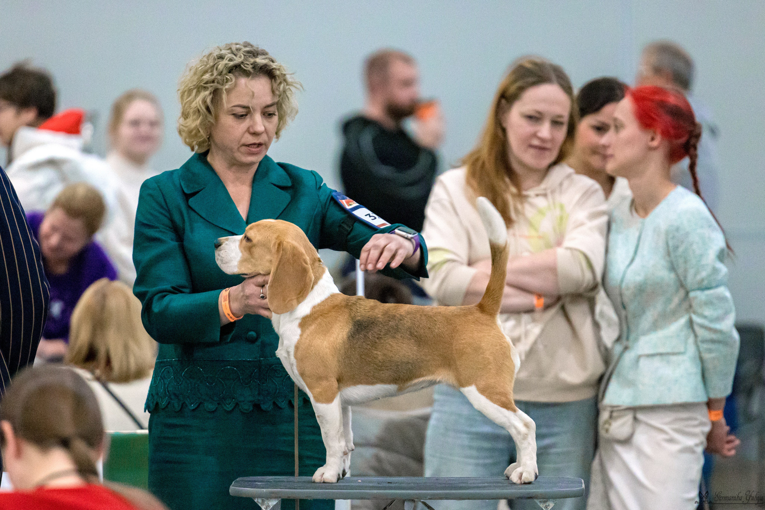 ЕВРАЗИЯ 18-19.11.2023. Фотограф-анималист Юлия Германика