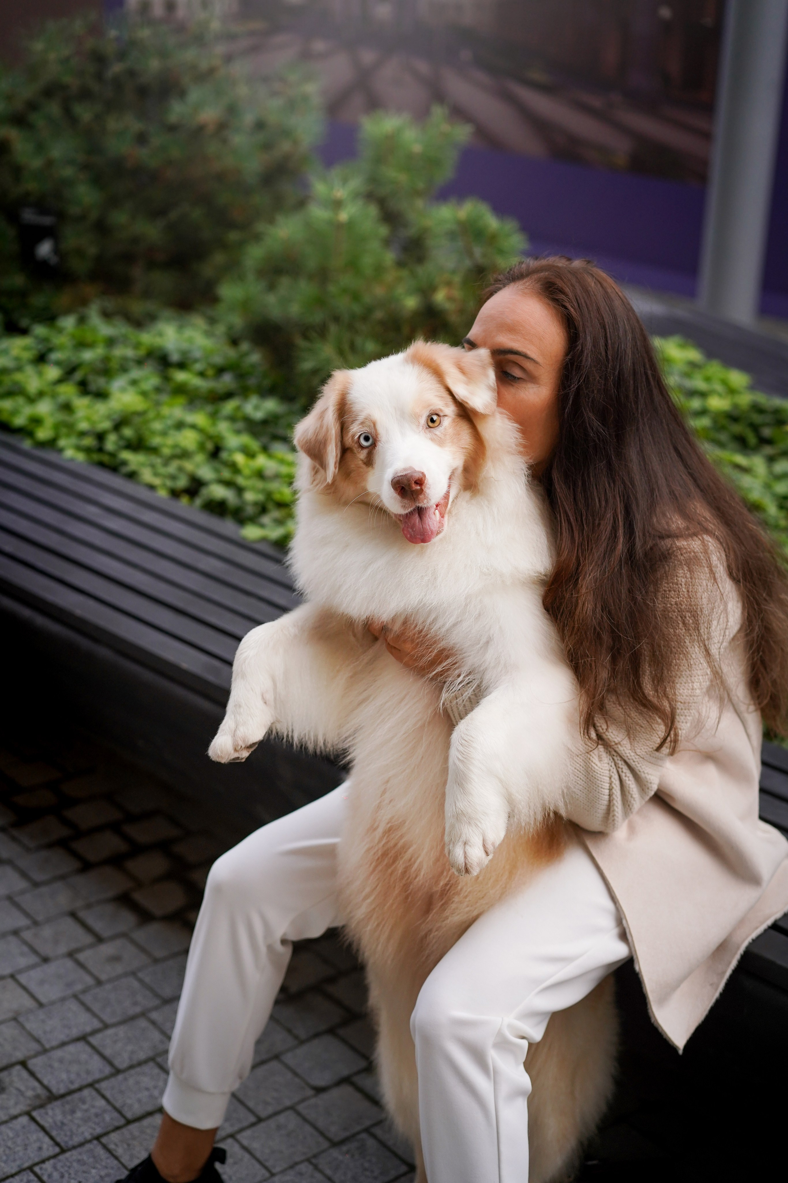 Кристина Катя Гермиона и Бэст. Фотограф-анималист в Санкт-Петербурге Яна Мартынова