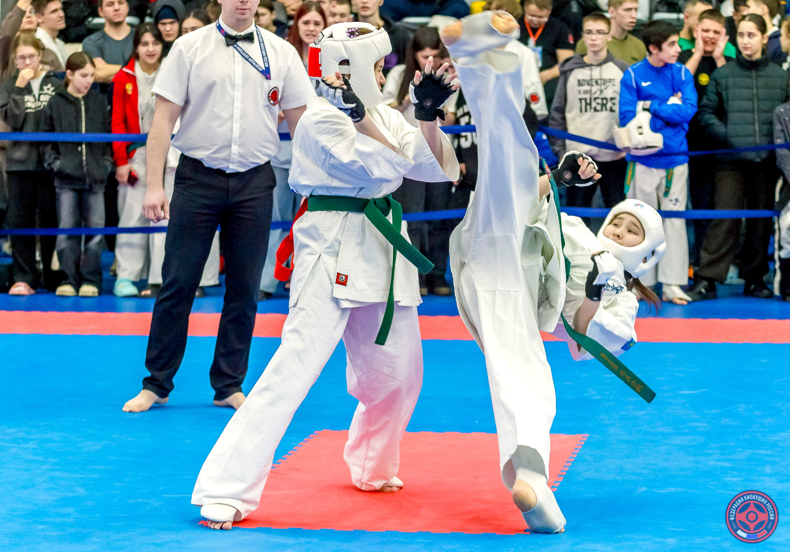 Международный турнир по киокушин «Открытый кубок Seiken». Репортажная съемка в Москве и области. Анималистика