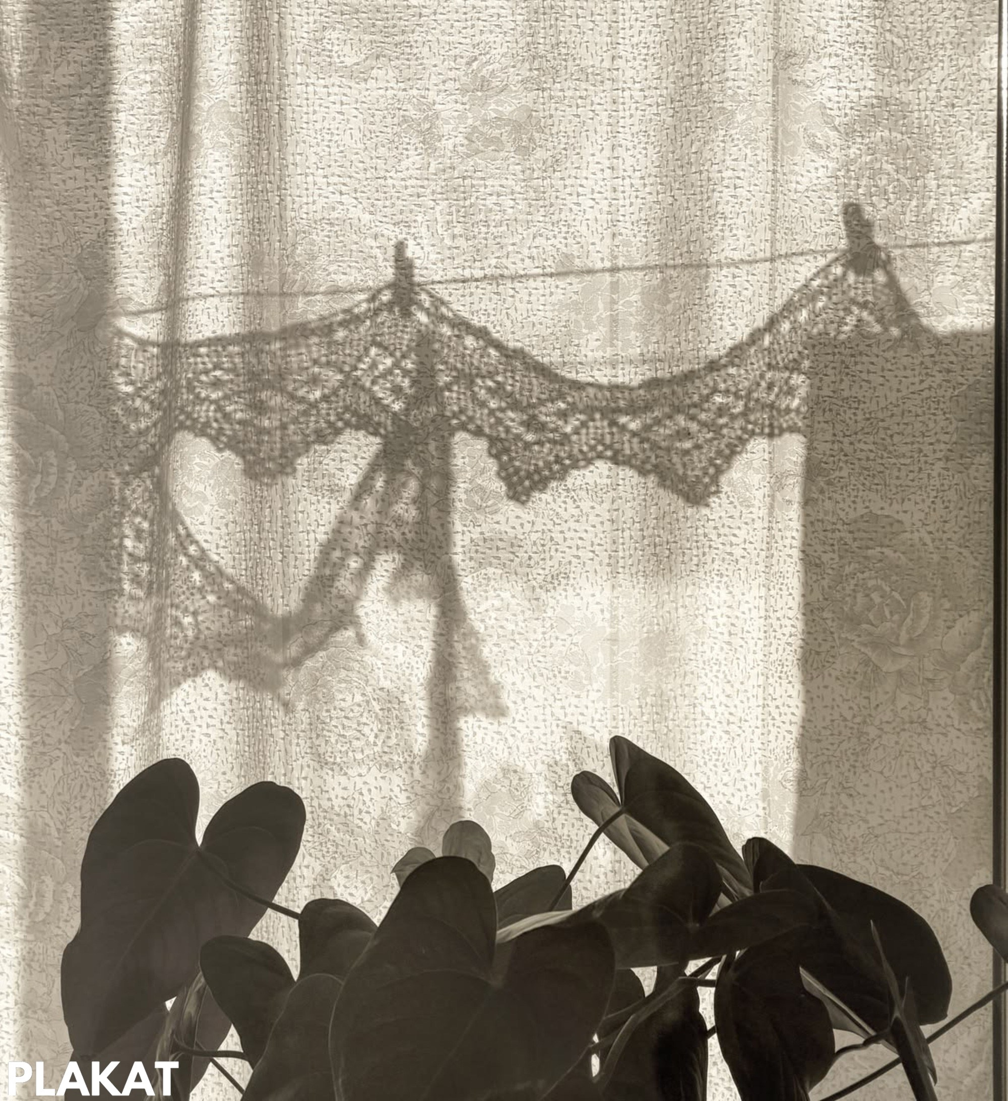 @Coffe__cat_mandelshtam