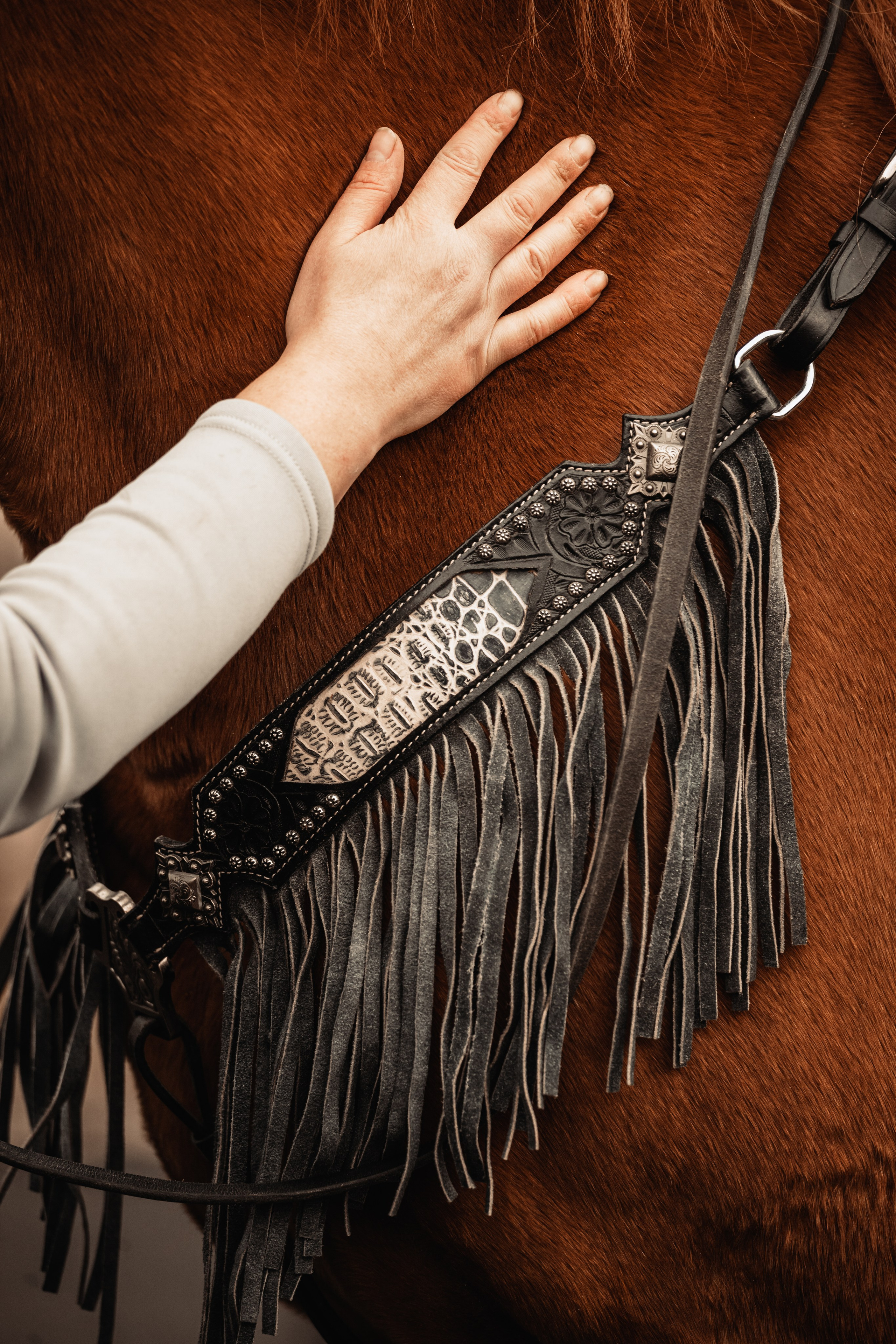 Лена и Рэджи. Фотограф-анималист Татьяна Степанова