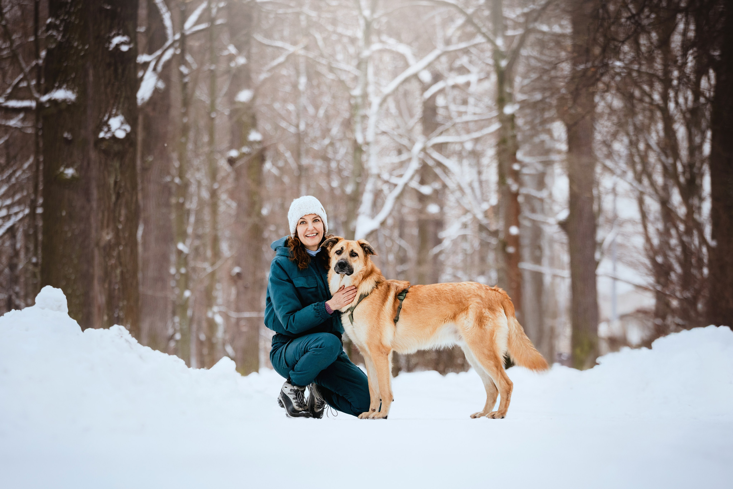 Собаки из приюта Дубовая роща зима. Фотограф-анималист Татьяна Степанова