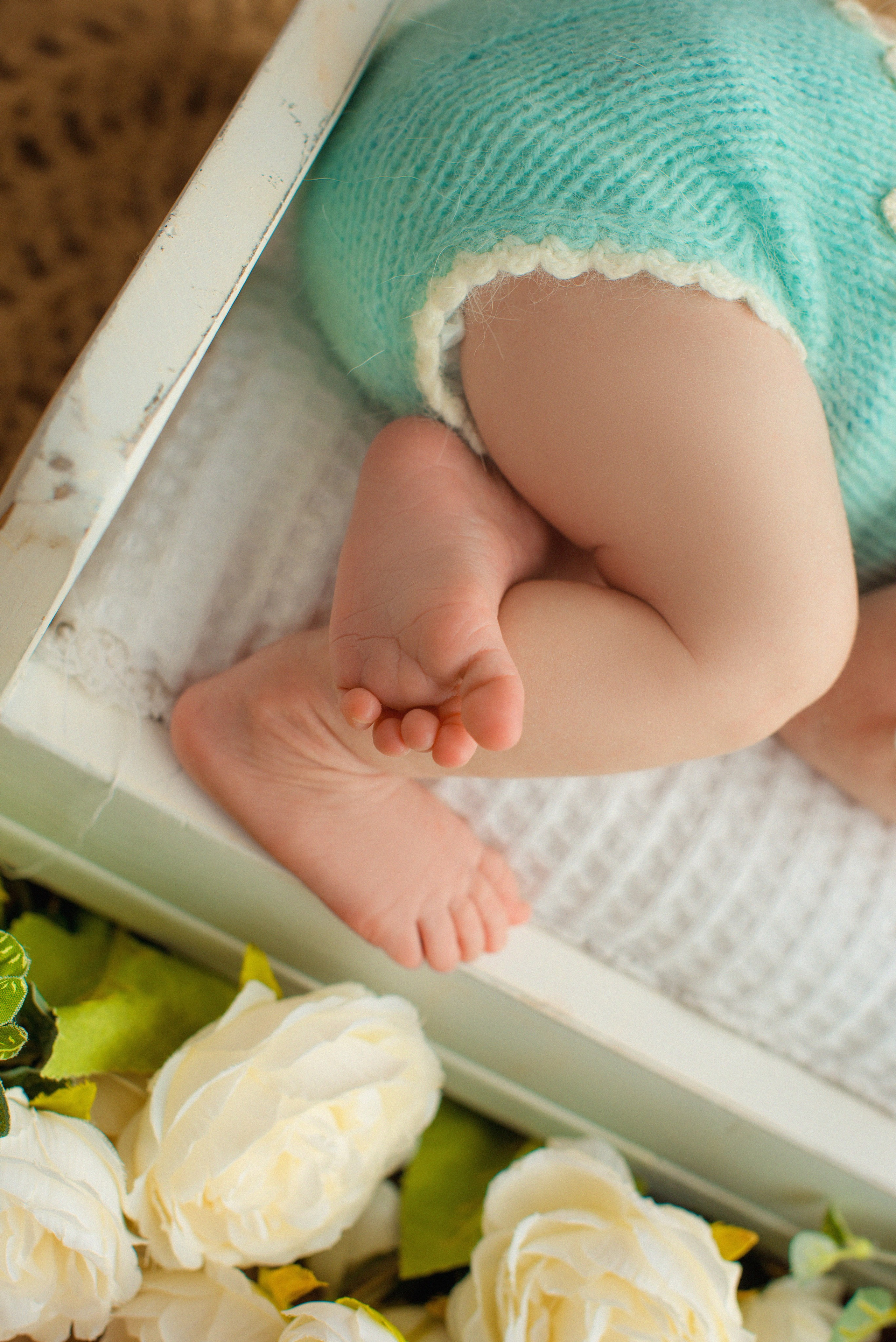 Макро. Фотограф Новорожденных во Владивостоке Ольга Галаницкая