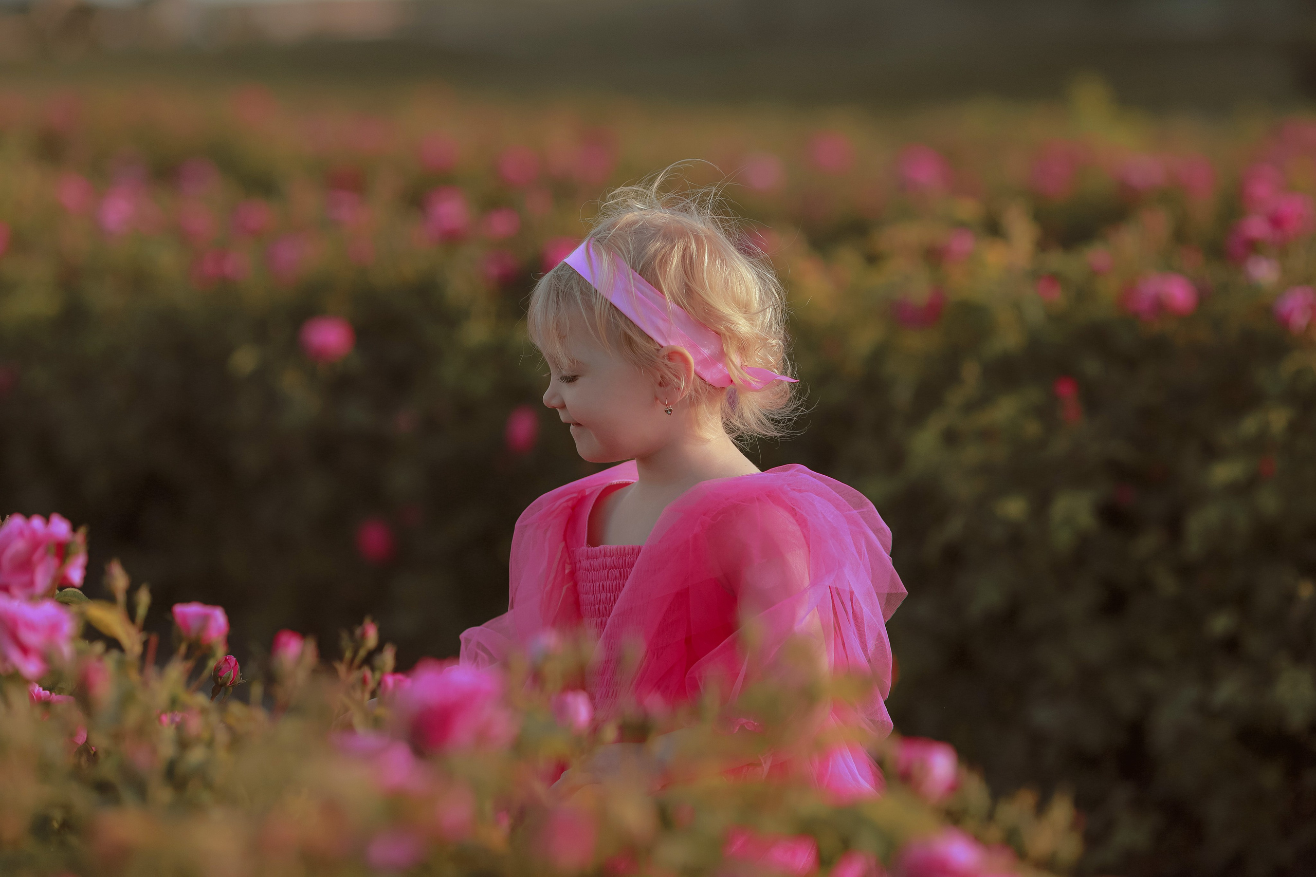 РОЗЫ. Семейный и детский фотограф в Крыму Екатерина Швец