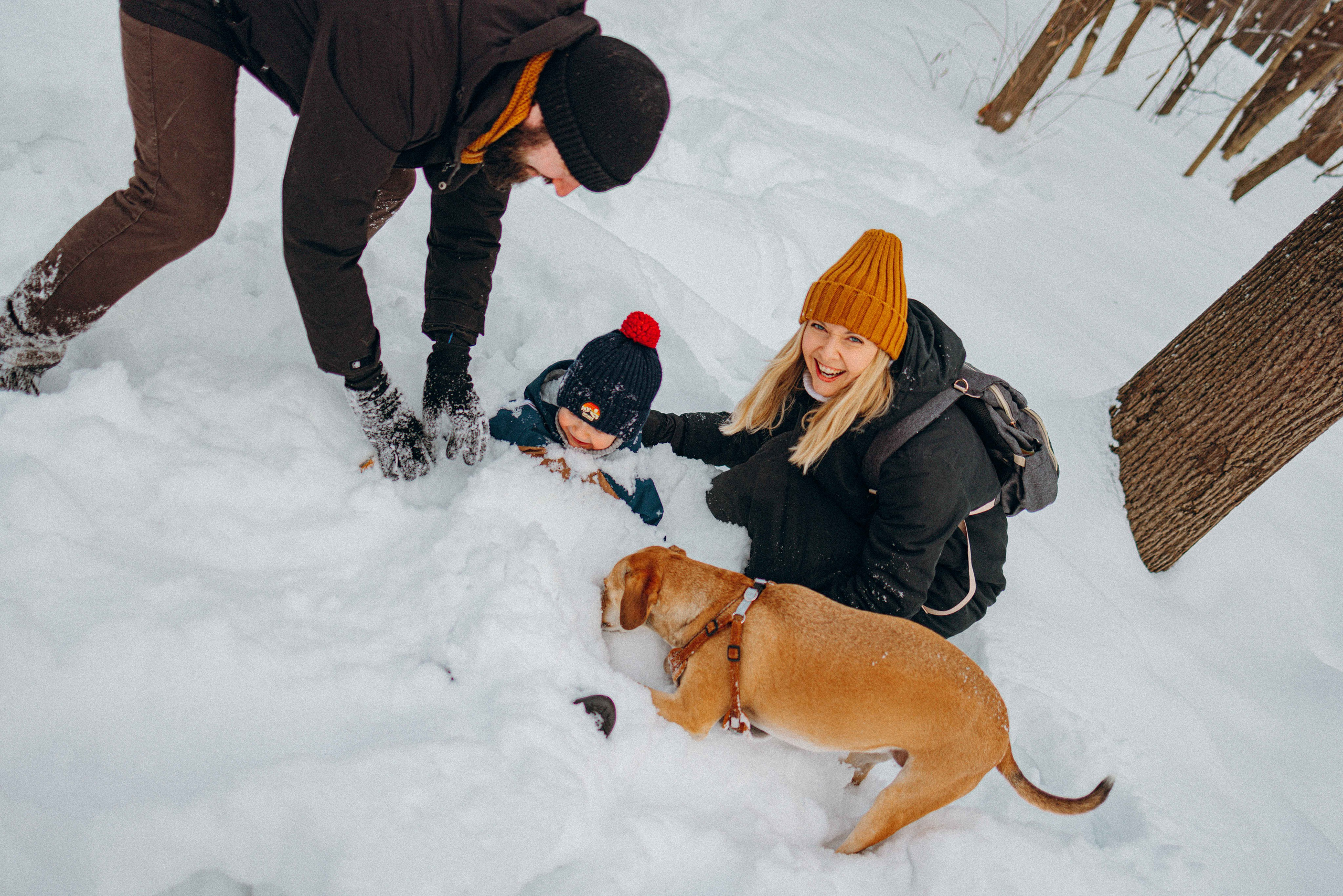 Свобода и ее семья. Фотограф-анималист в Москве Лера Черноног