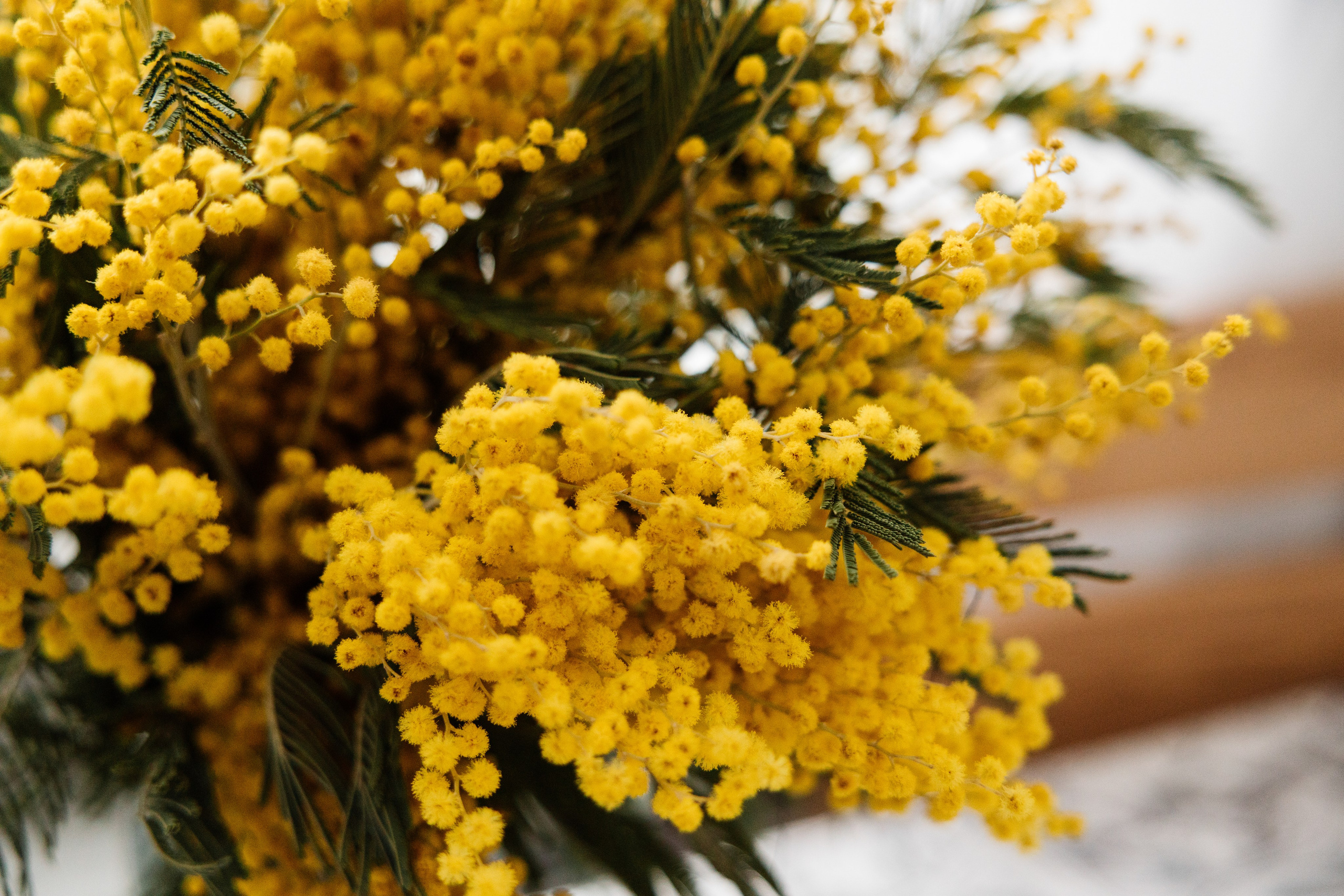 Лена и Саша