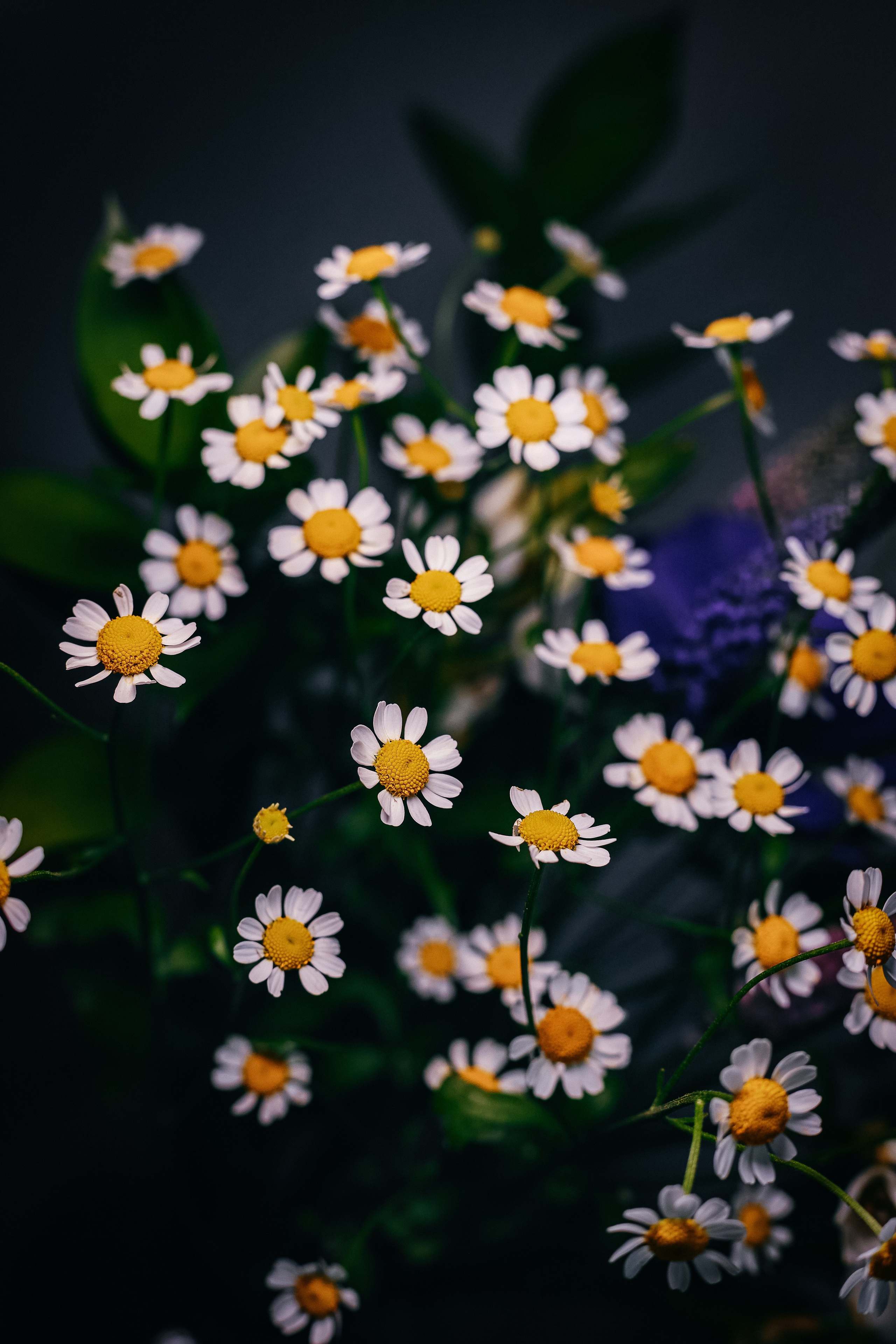 Nature. Оля Валиахметова — портретный и репортажный фотограф из Екатеринбурга