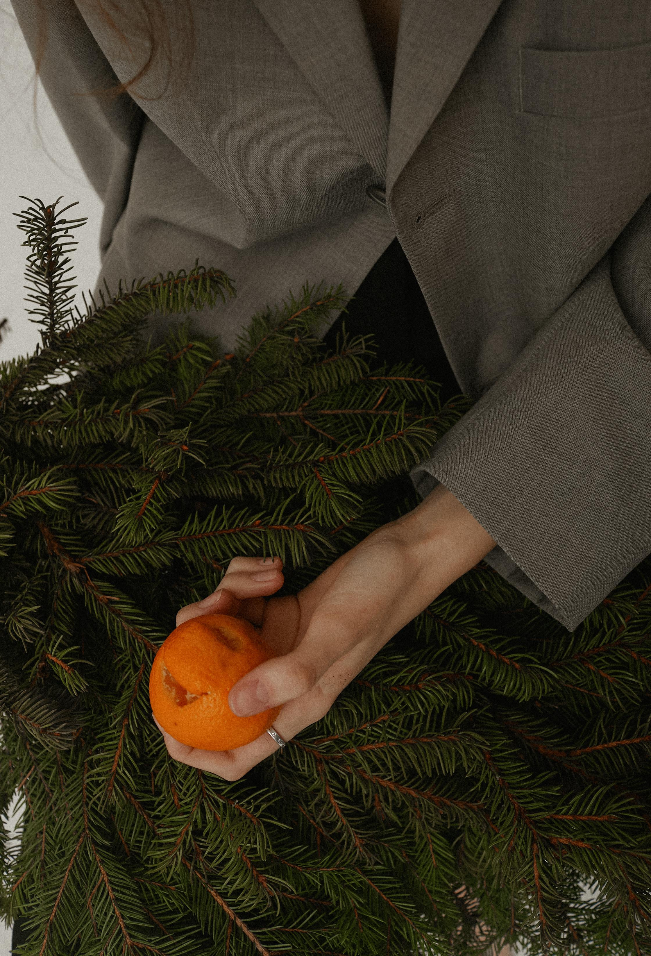 Julia. Фотограф Елена Храмова