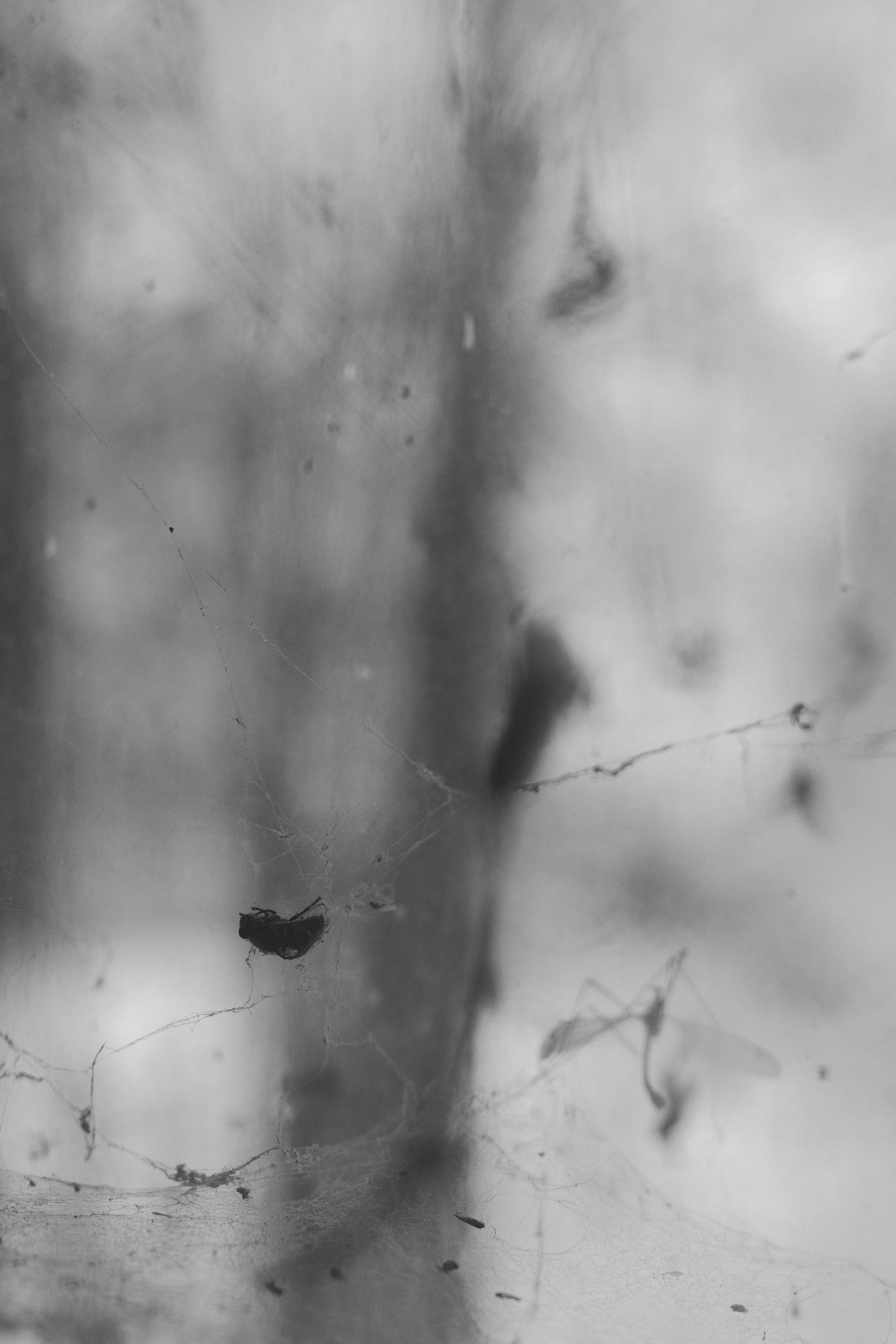 Бежецк. Портретный фотограф в Москве Тимур Мансуров