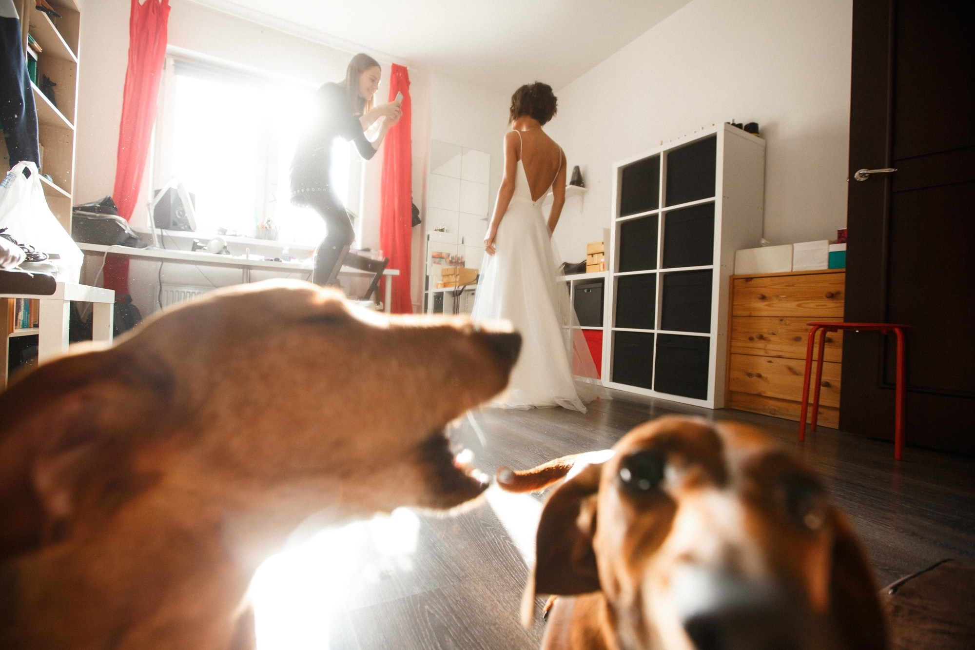 СБОРЫ ДОМА… С ЖИВОТНЫМИ. ЗАПИСКИ СВАДЕБНОГО ФОТОГРАФА