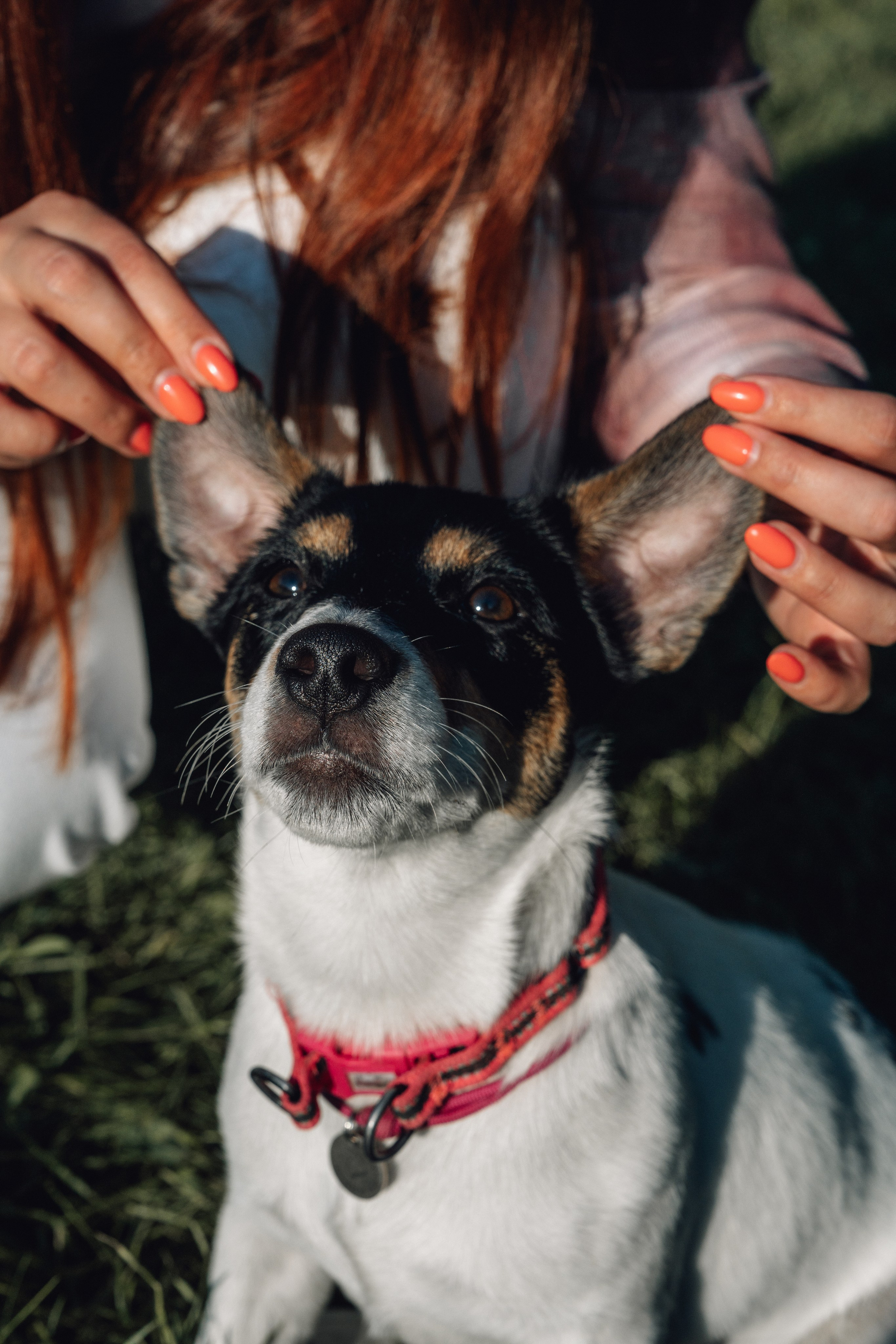 Аня и Луна. Фотограф и видеограф в Тюмени Екатерина Чернецкая