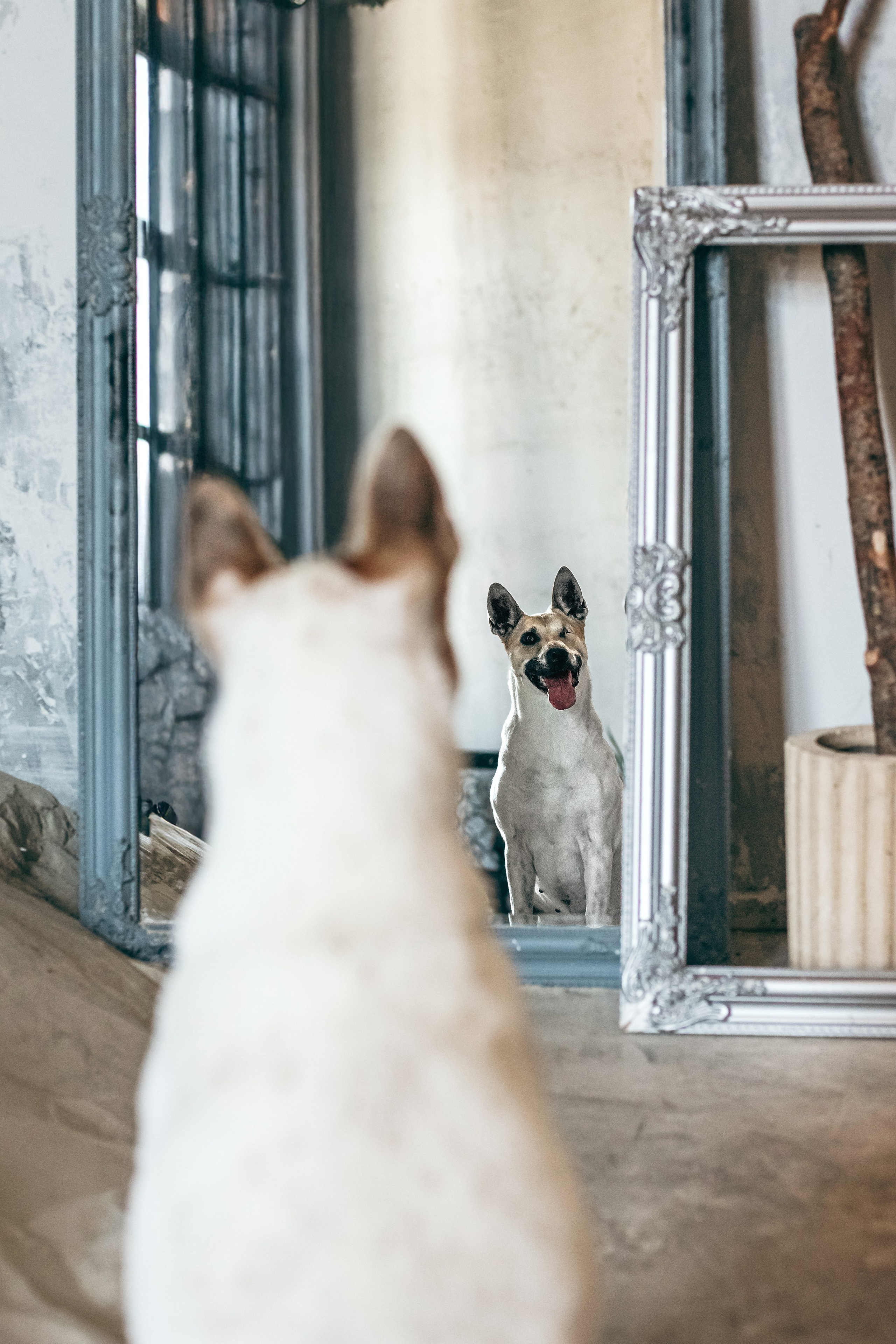 Полина и Альвильда. Фотограф-анималист Татьяна Степанова