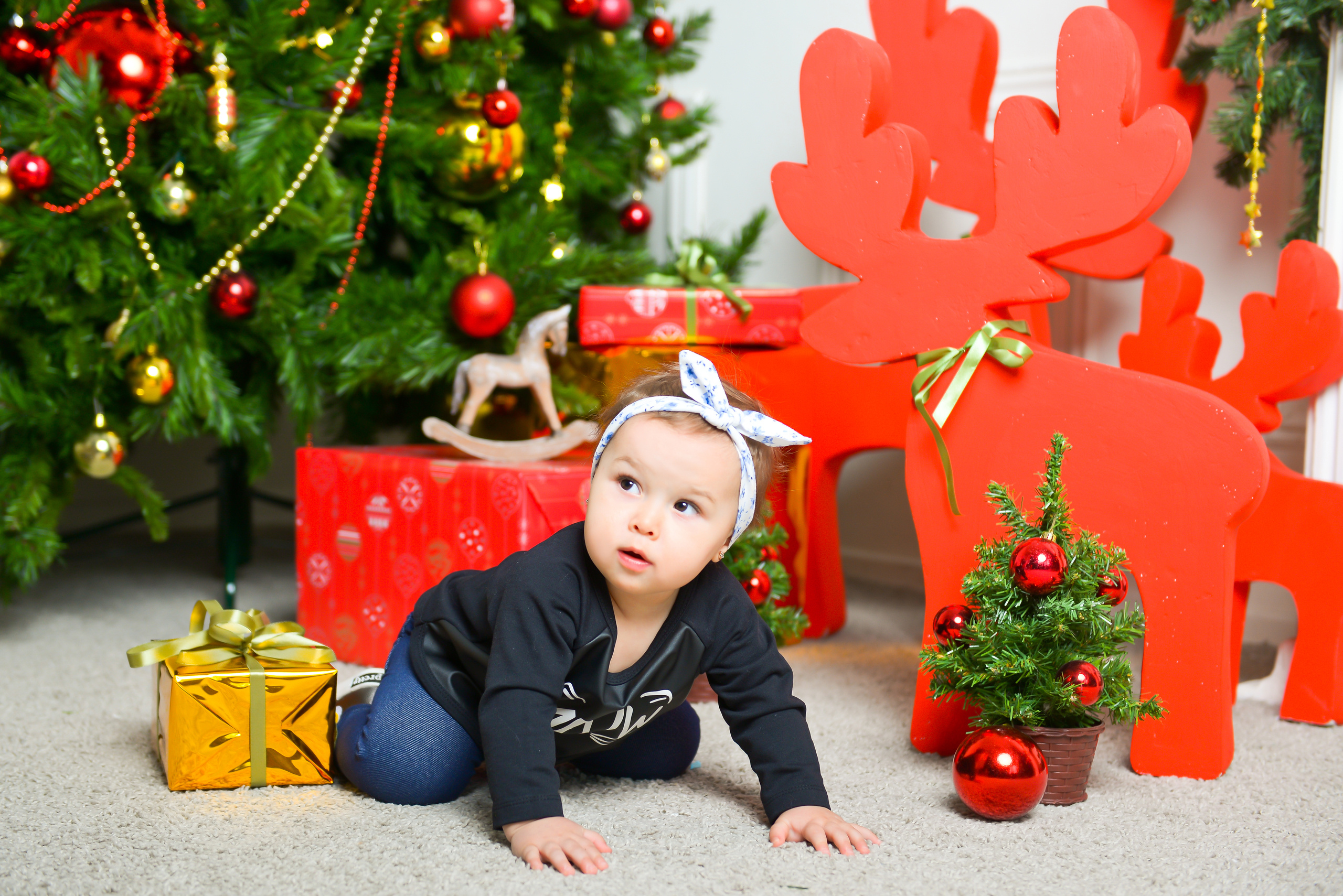 Новогодние фотосессии в Туле. Выпускные альбомы в Туле, школьный фотограф Тула