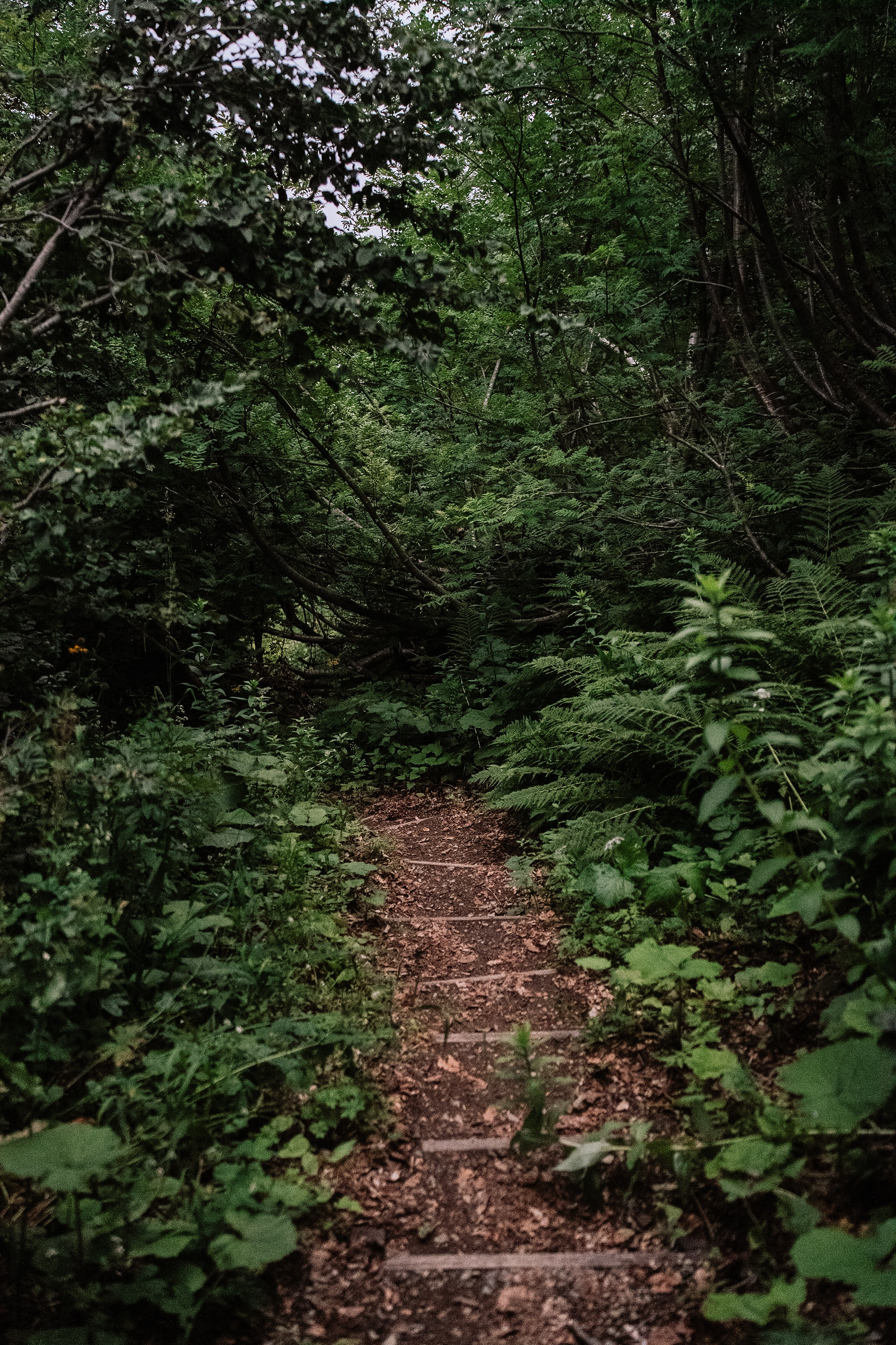 Нахазо ✽ Июль. Репортажный фотограф | Роза Хутор Красная Поляна Сочи Сириус