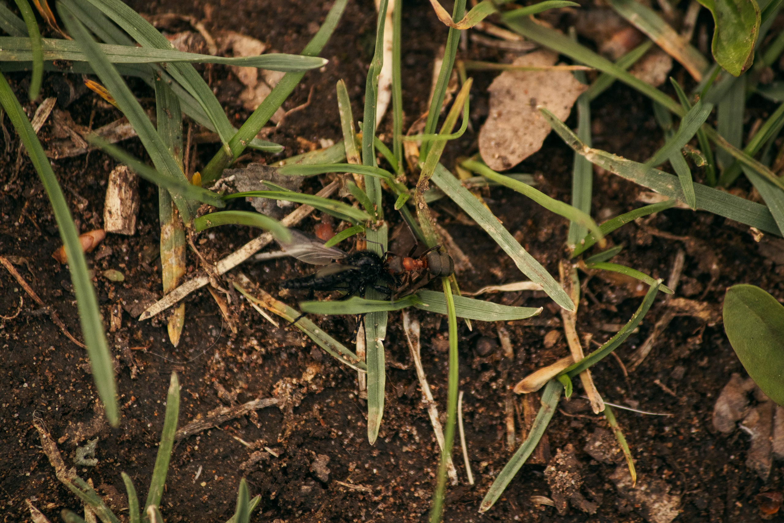 Сокольская гора. Фотограф и видеограф в Бугульме Аня Трутнева