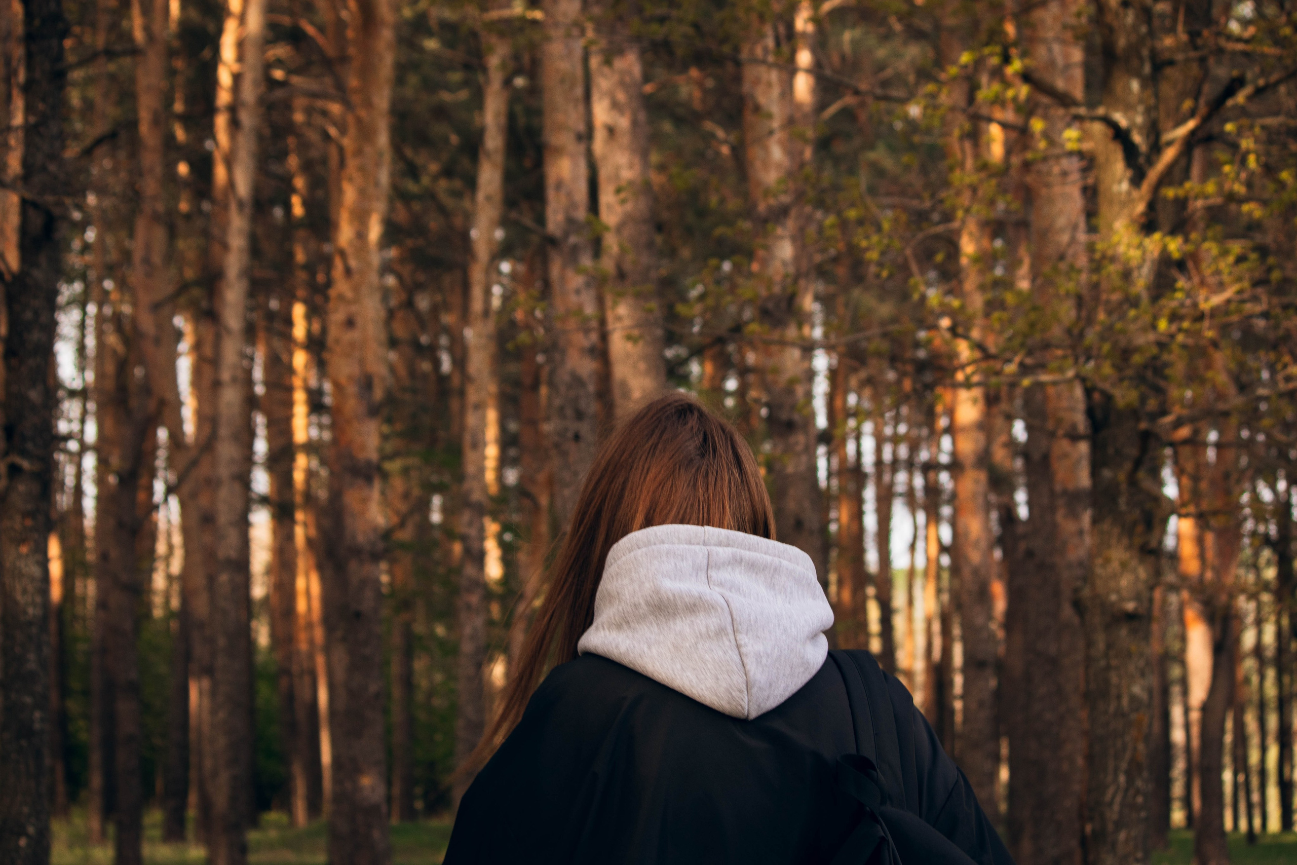 Сокольская гора. Фотограф и видеограф в Бугульме Аня Трутнева