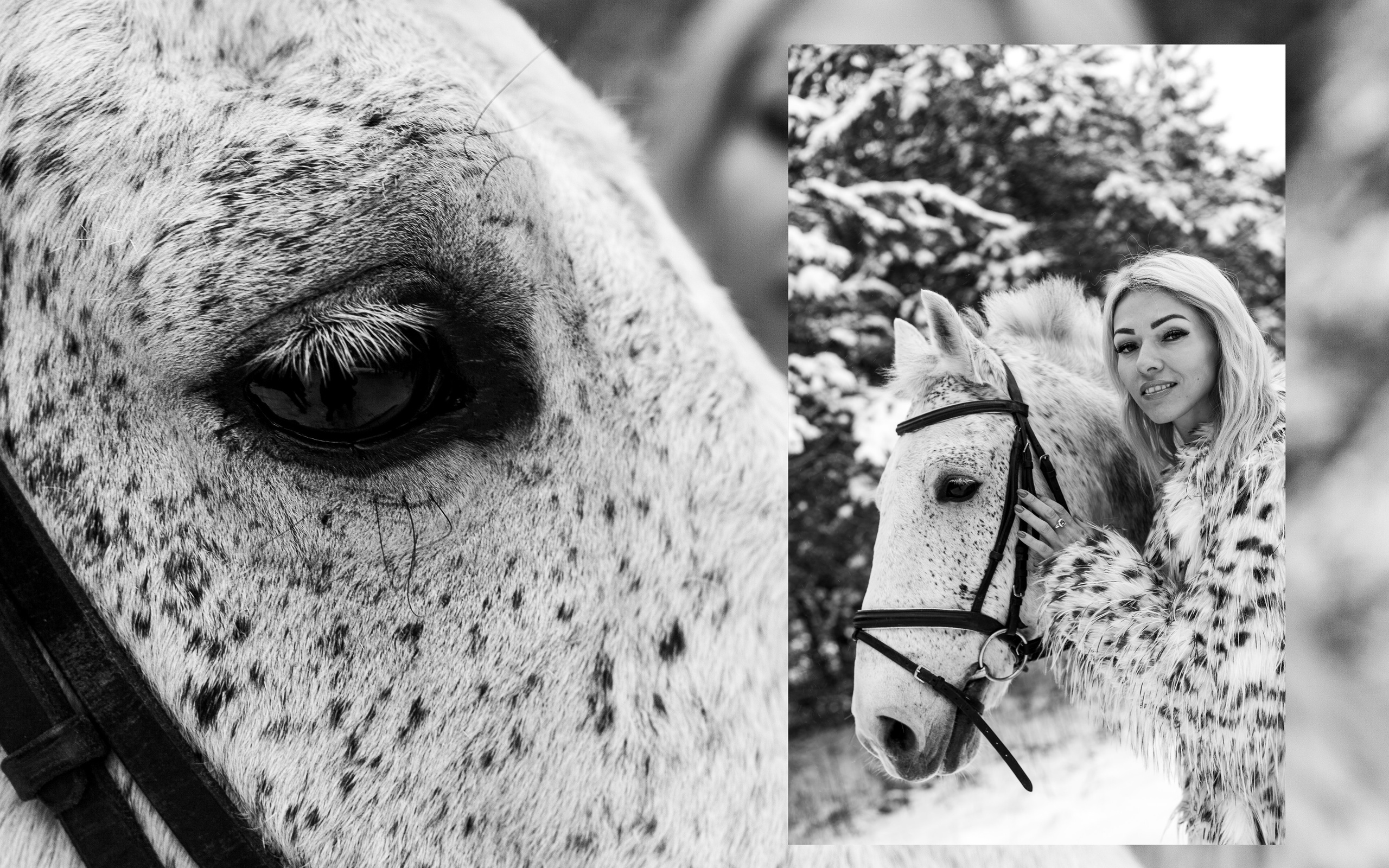 Анжелика. Фотограф Старый Оскол Мавлыга Мария