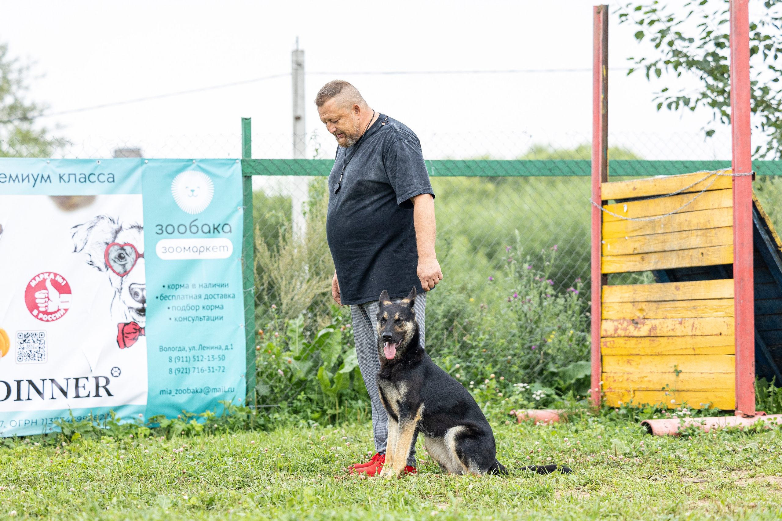 Соревнования по Мондьорингу г. Вологда 10-11.08.2024. Фотограф-анималист Анна Маринич