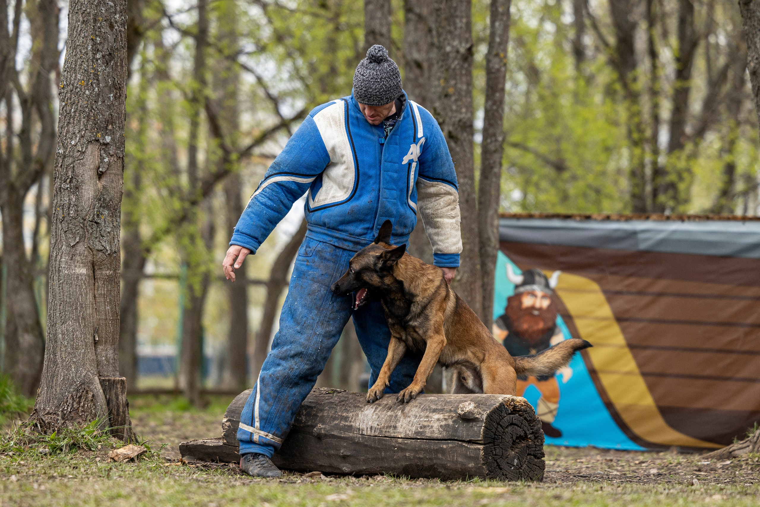 Квалификационные состязания по мондьорингу г. Вологда 11.05.24. Фотограф-анималист Анна Маринич