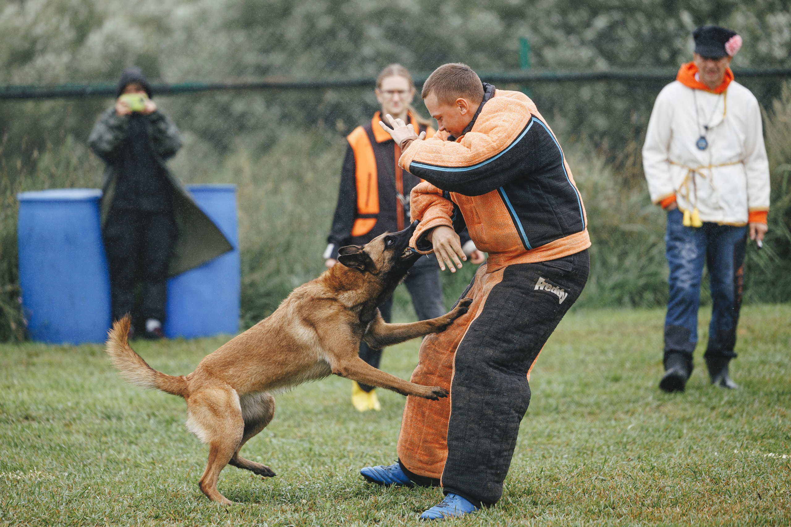 08.08.25-10.08.25 ЧР по мондьорингу г. Вологда. Фотограф-анималист Анна Маринич