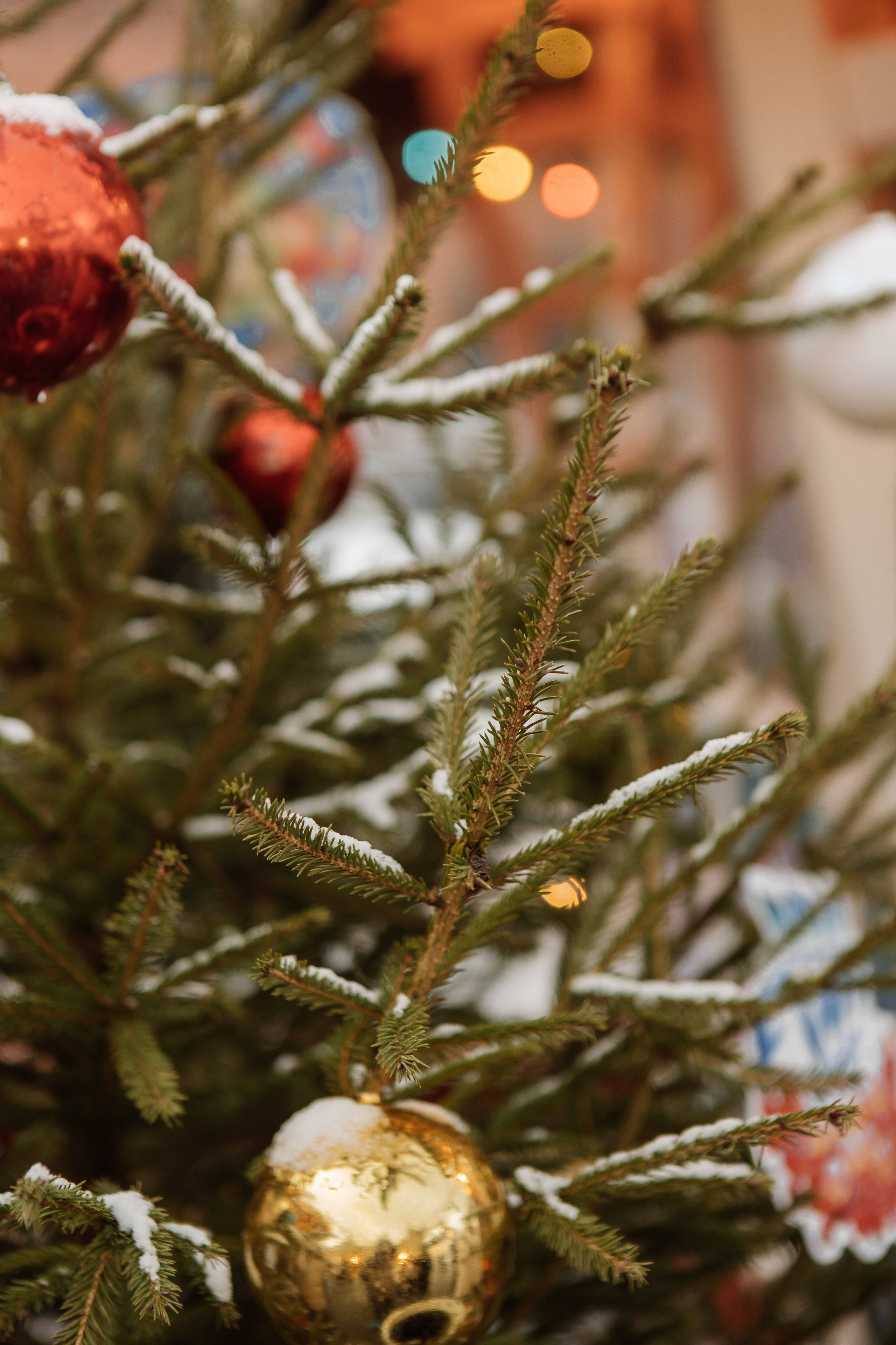 Новогодняя. Свадебный и семейный фотограф Чижова Алина