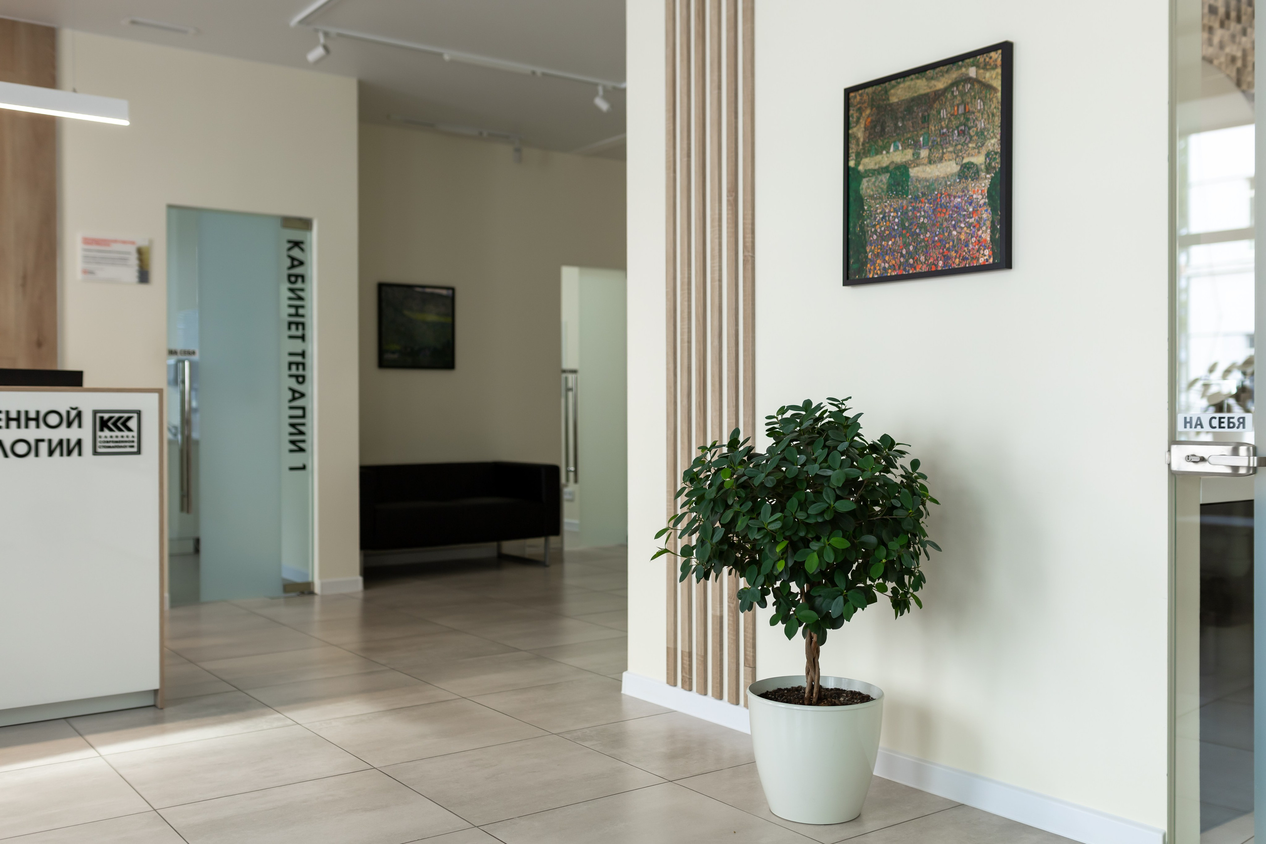 Клиника современной стоматологии. Интерьерный, предметный и контент фотограф в Иркутске Наталья Карпова