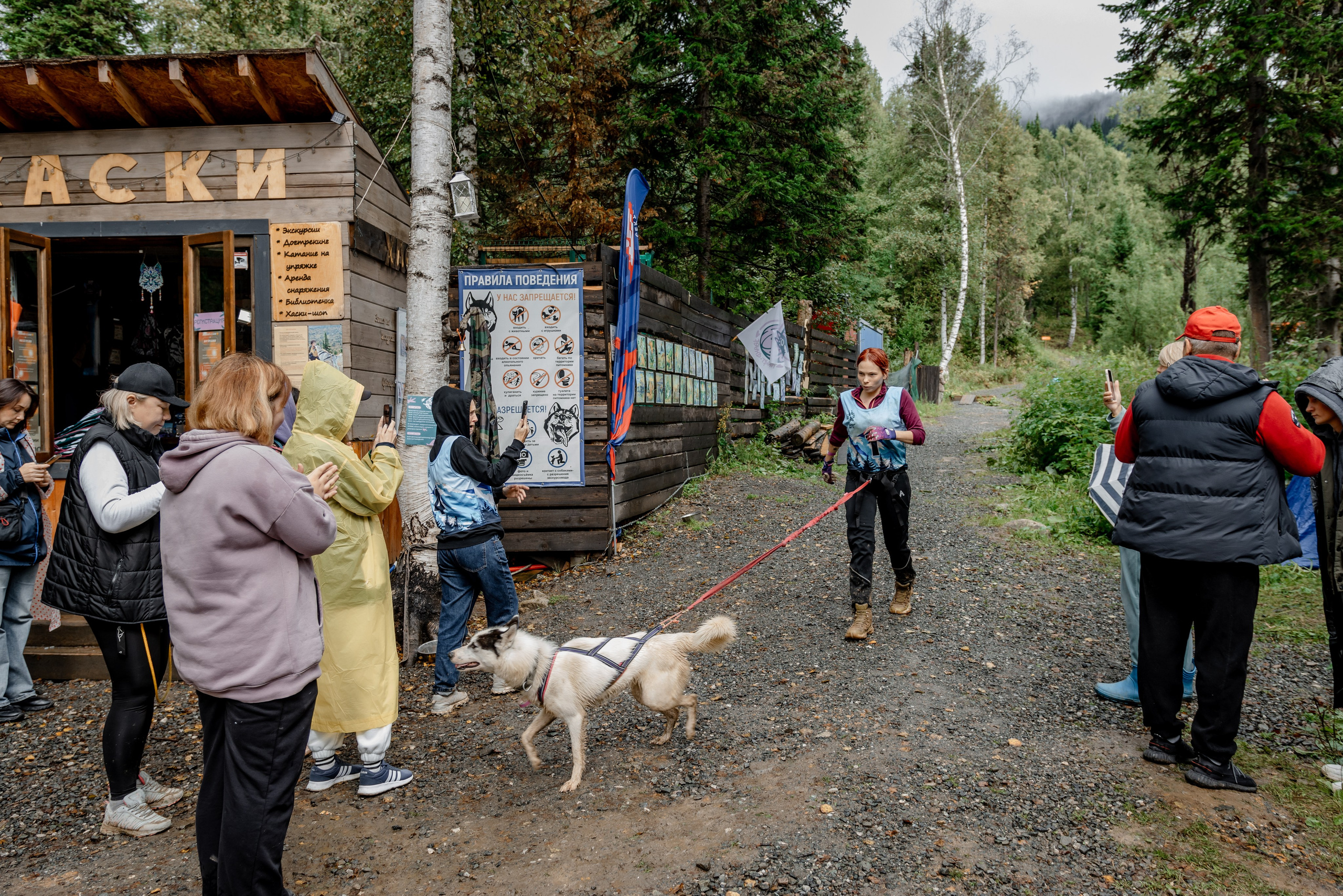 Дог-треккинг