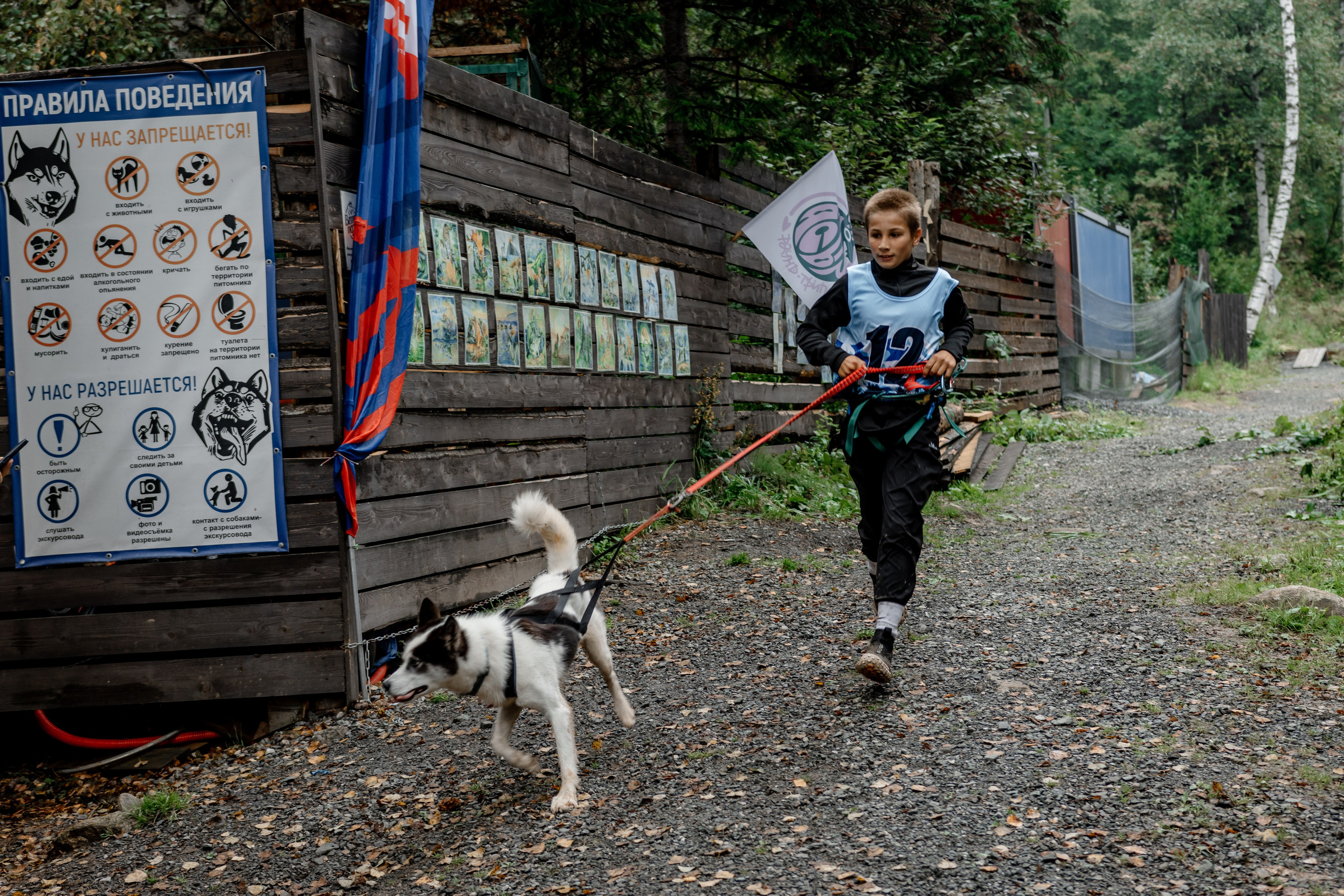 Дог-треккинг